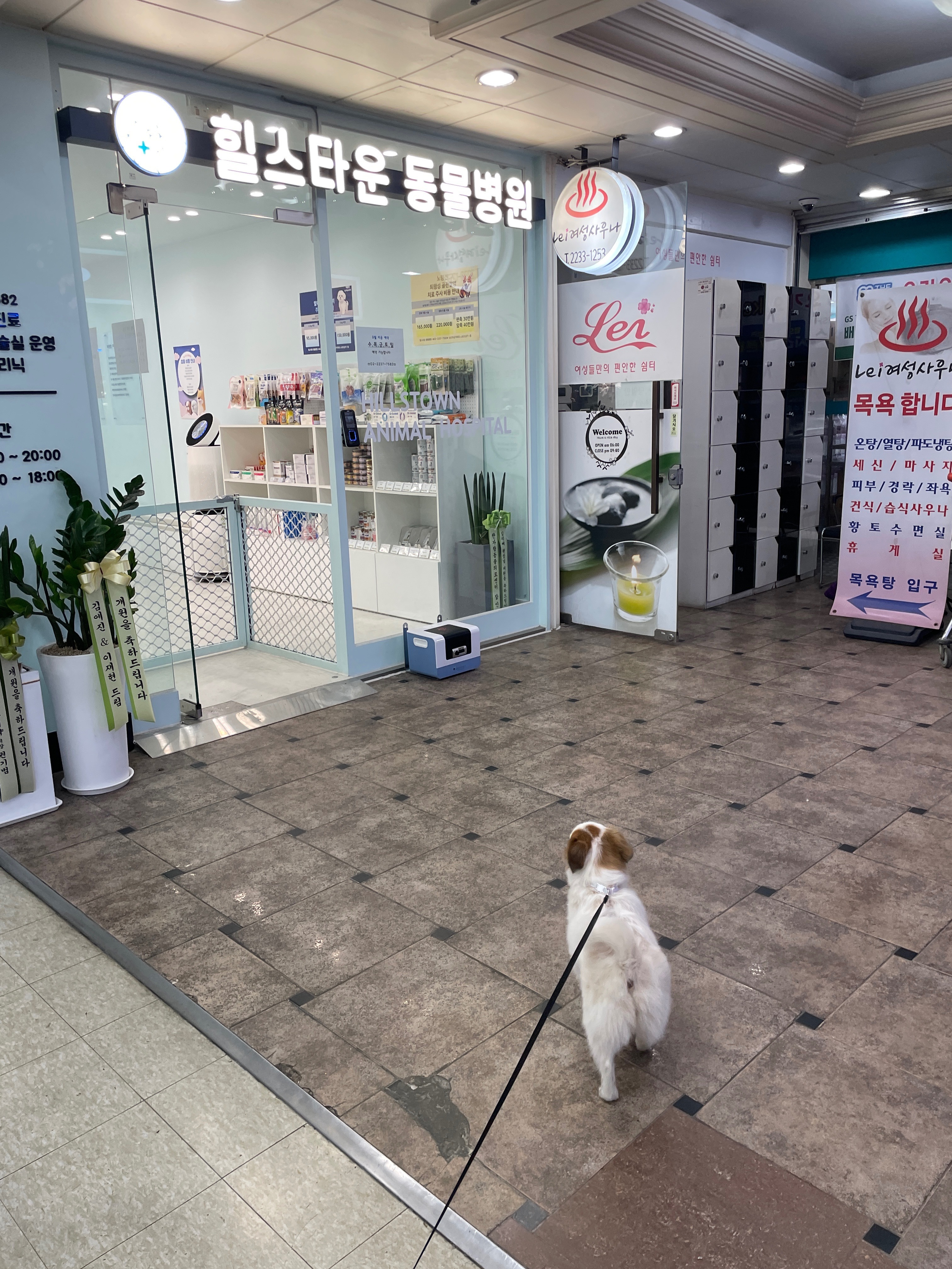 리뷰 사진 1