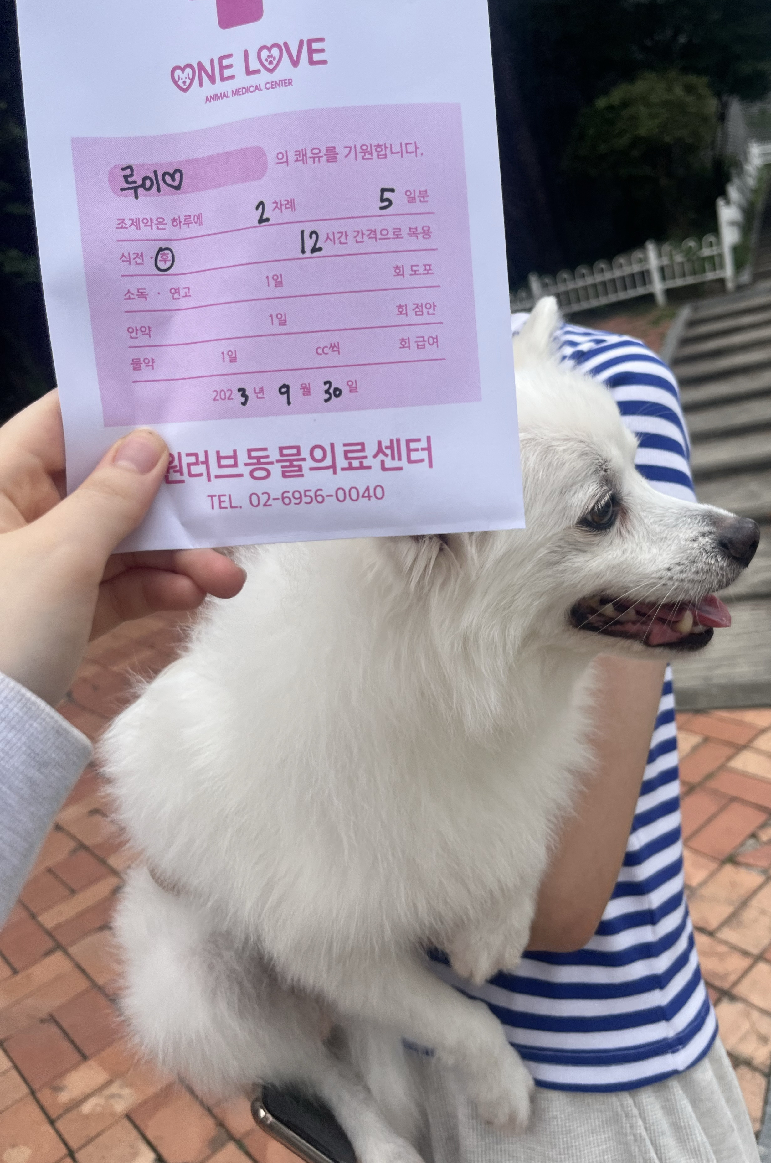 리뷰 사진 1