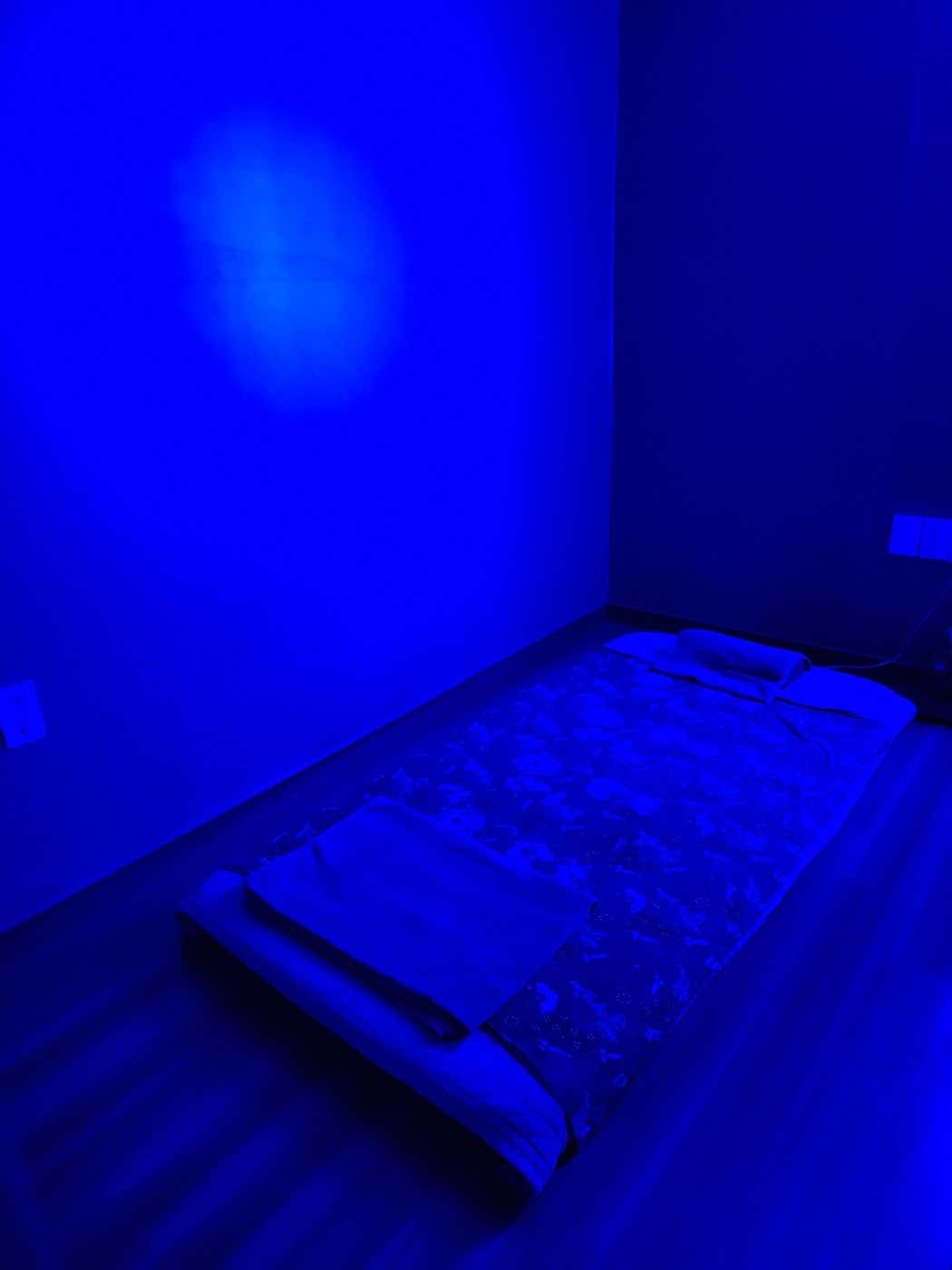 치앙마이 더타이 (속초) 매장 사진 10