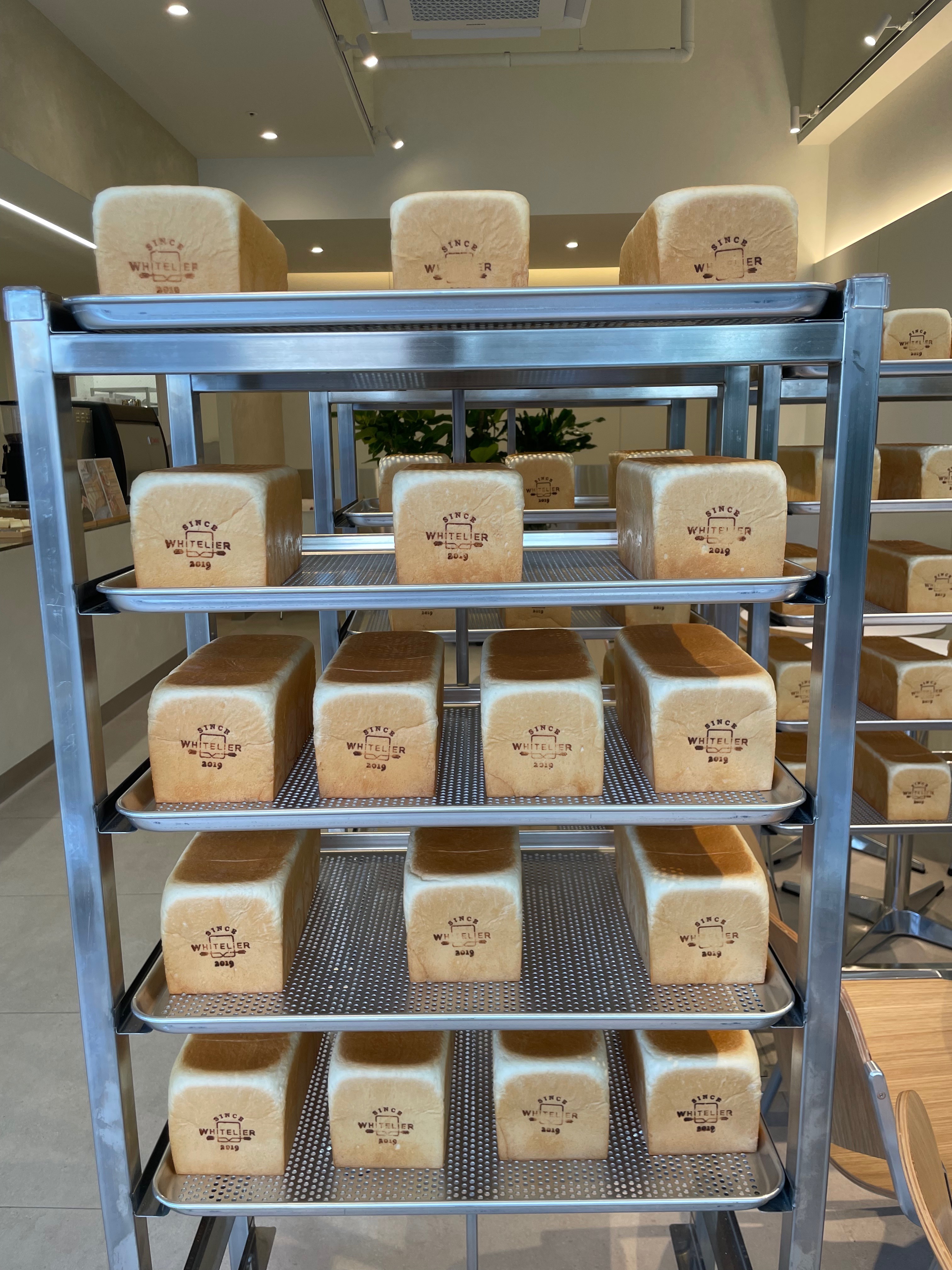 화이트리에🍞 - 초전동 맛집 화이트리에 진주점