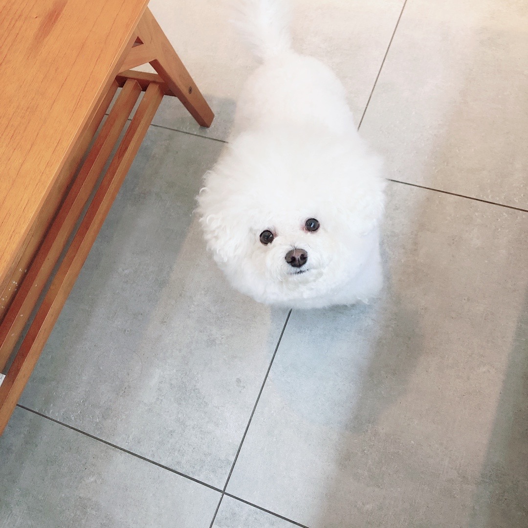 리뷰 사진 1