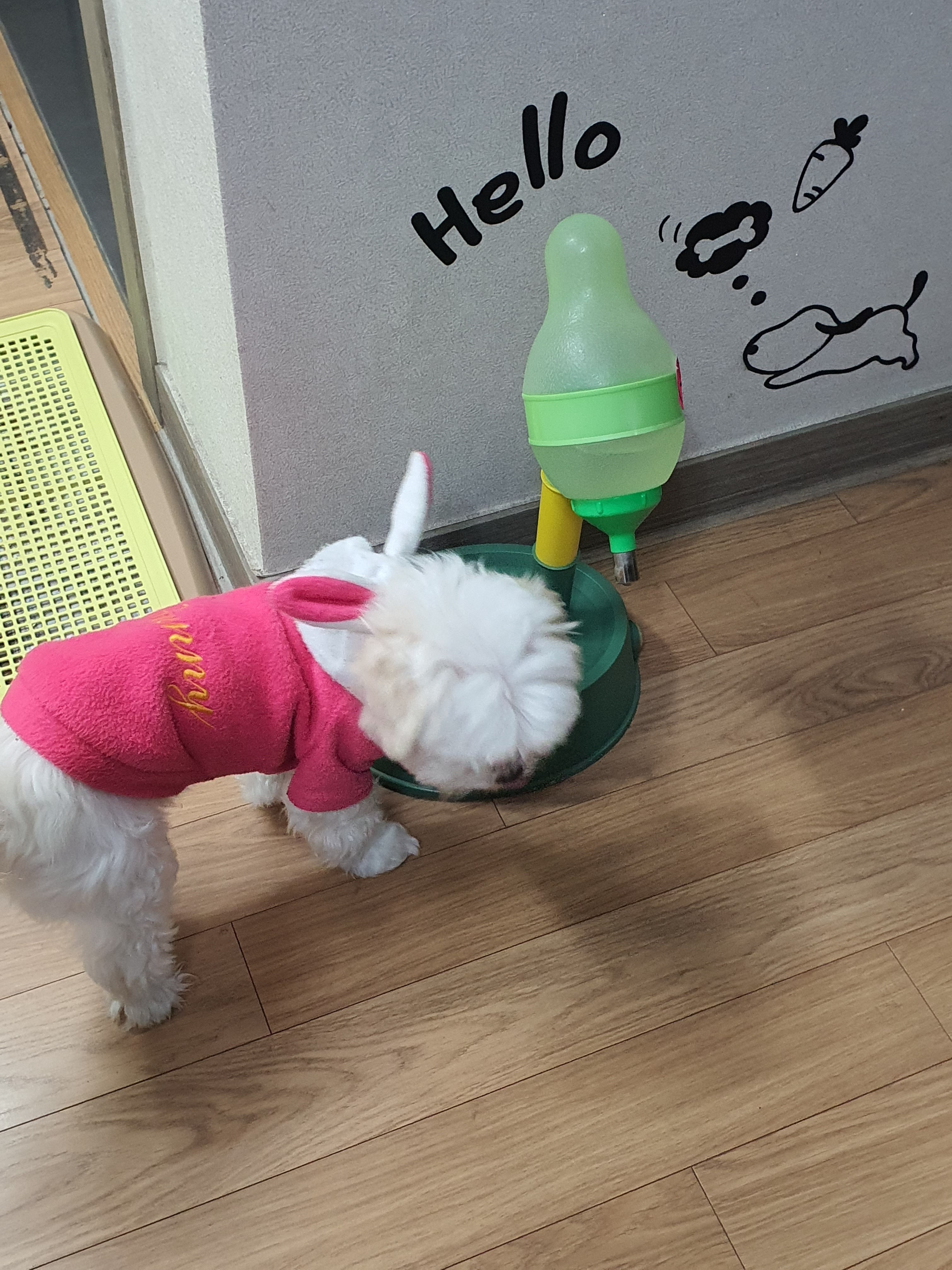 리뷰 사진 1
