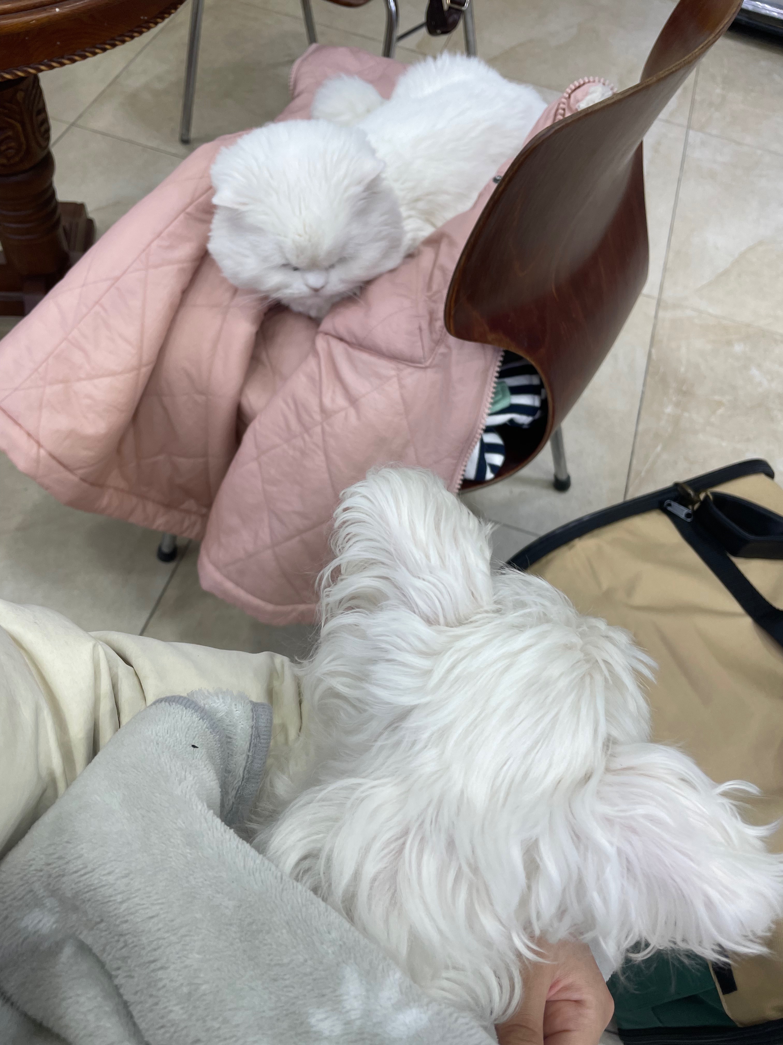 리뷰 사진 1