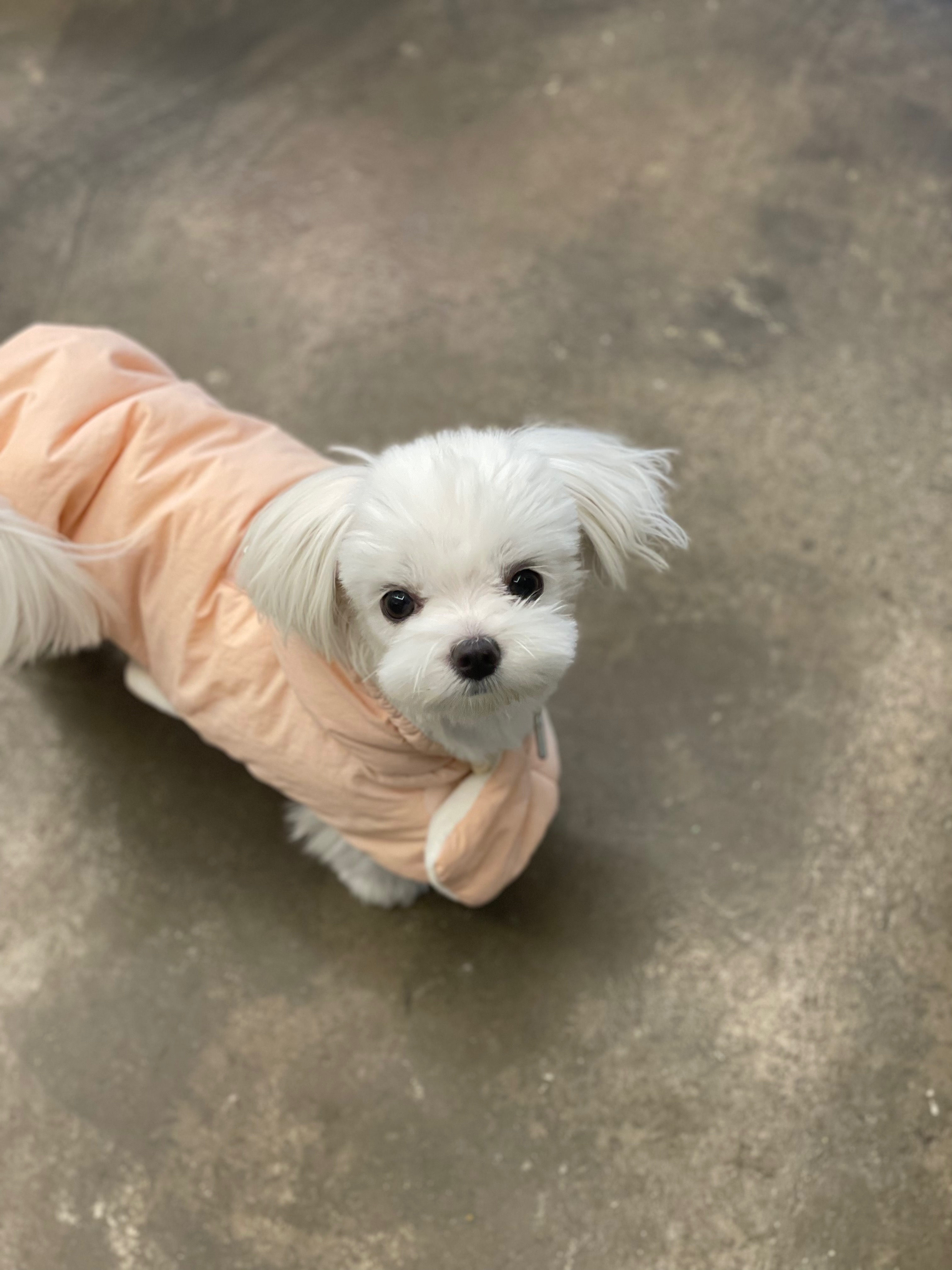 리뷰 사진 1