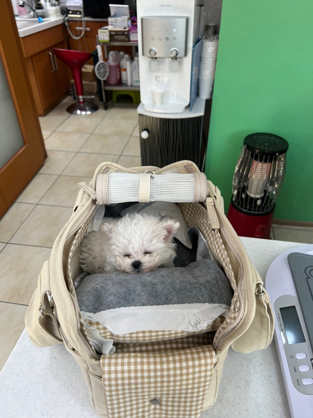 리뷰 사진 1