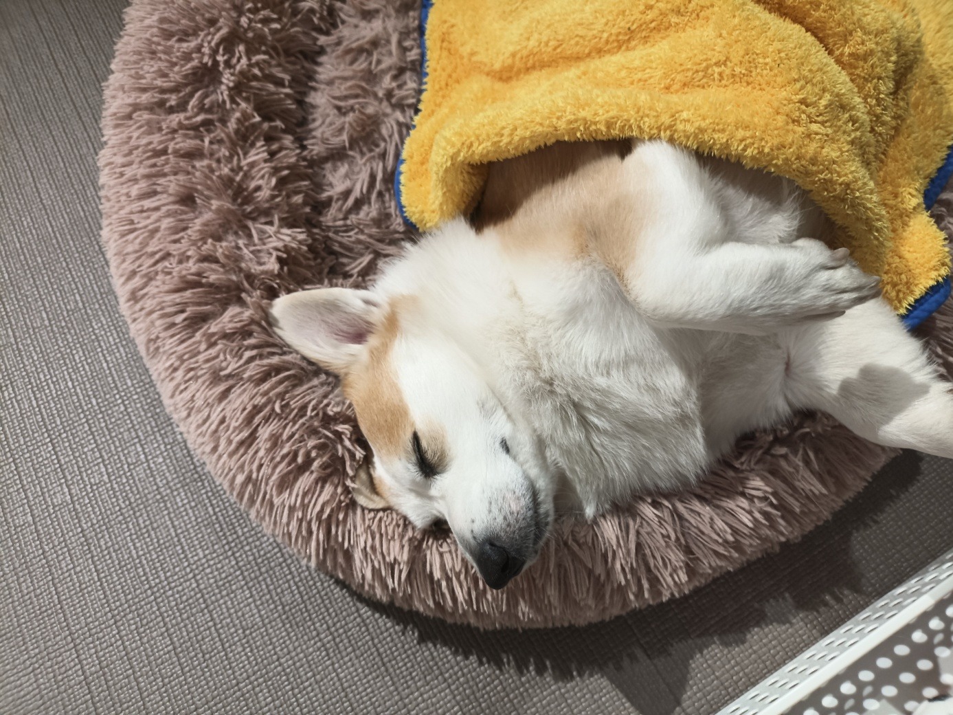 리뷰 사진 1