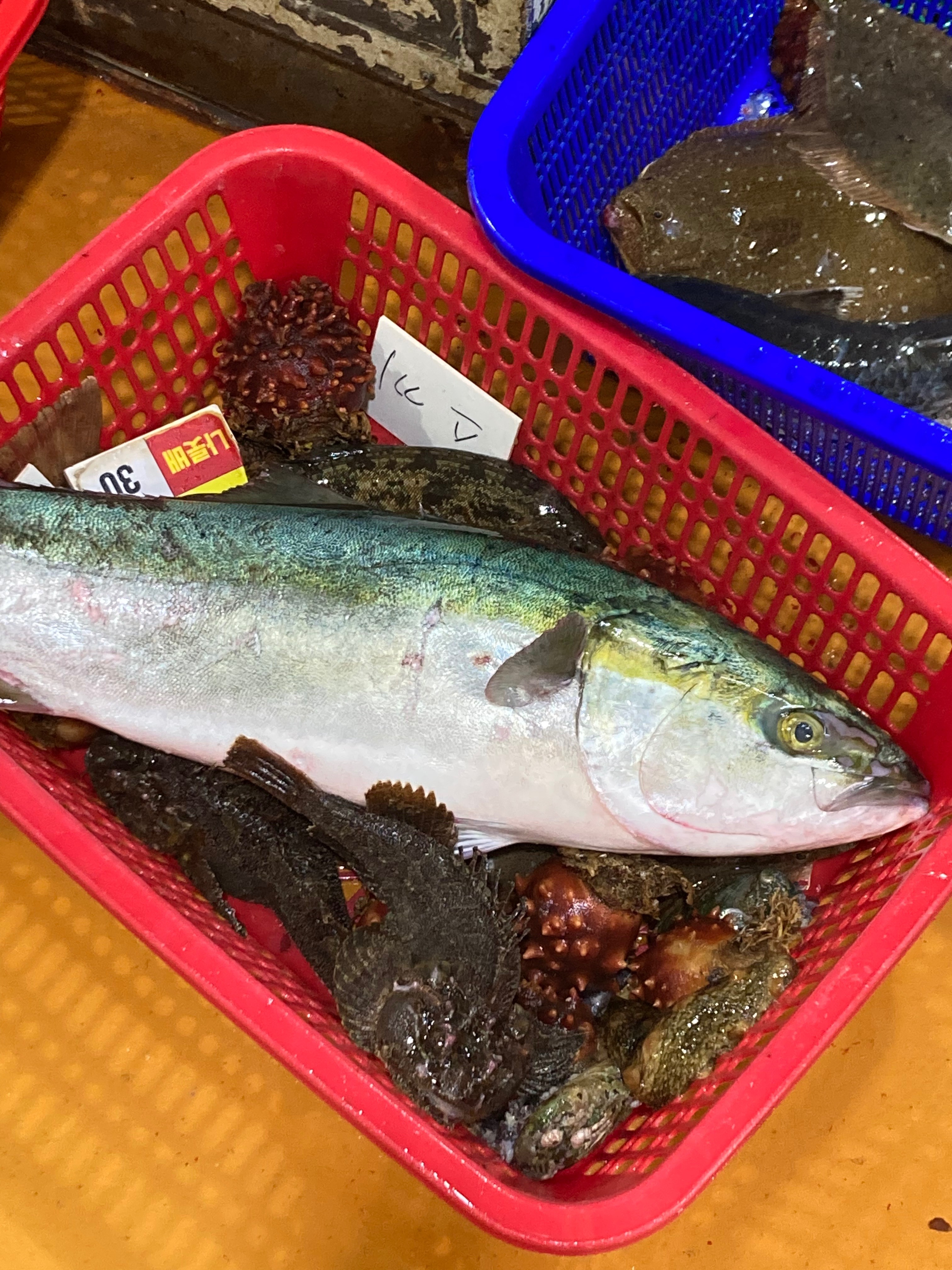 설날은 가족과 함께💖 - 아바이마을 맛집 청호활어회센터 나룻배 12호 회포장