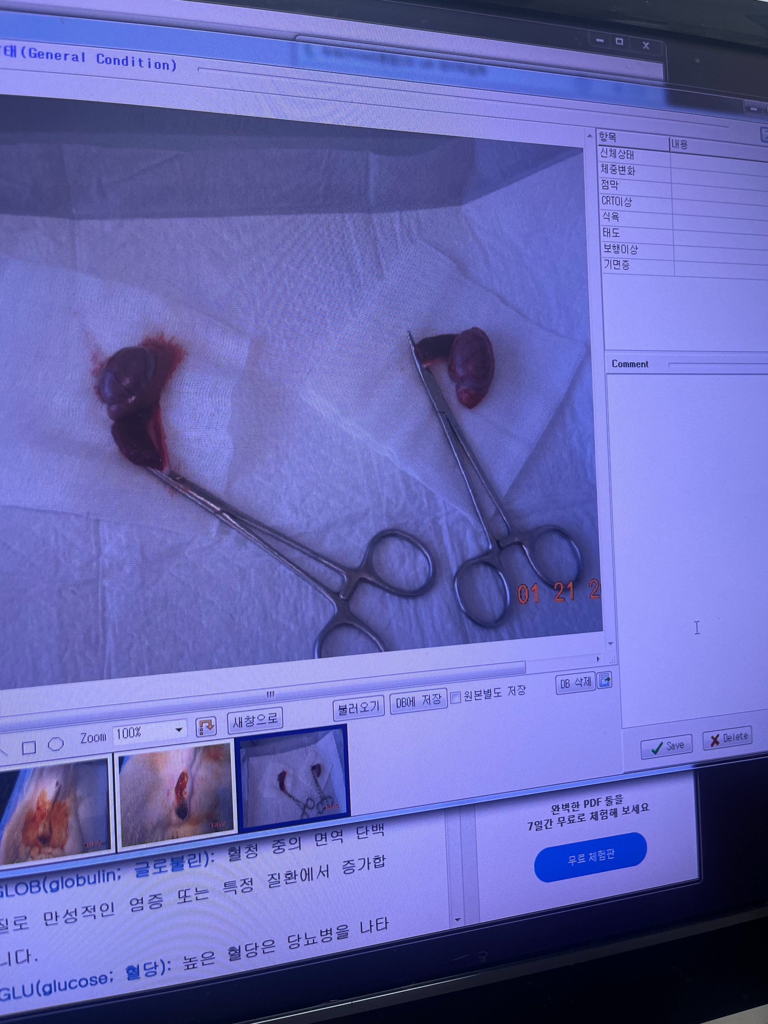 리뷰 사진 4