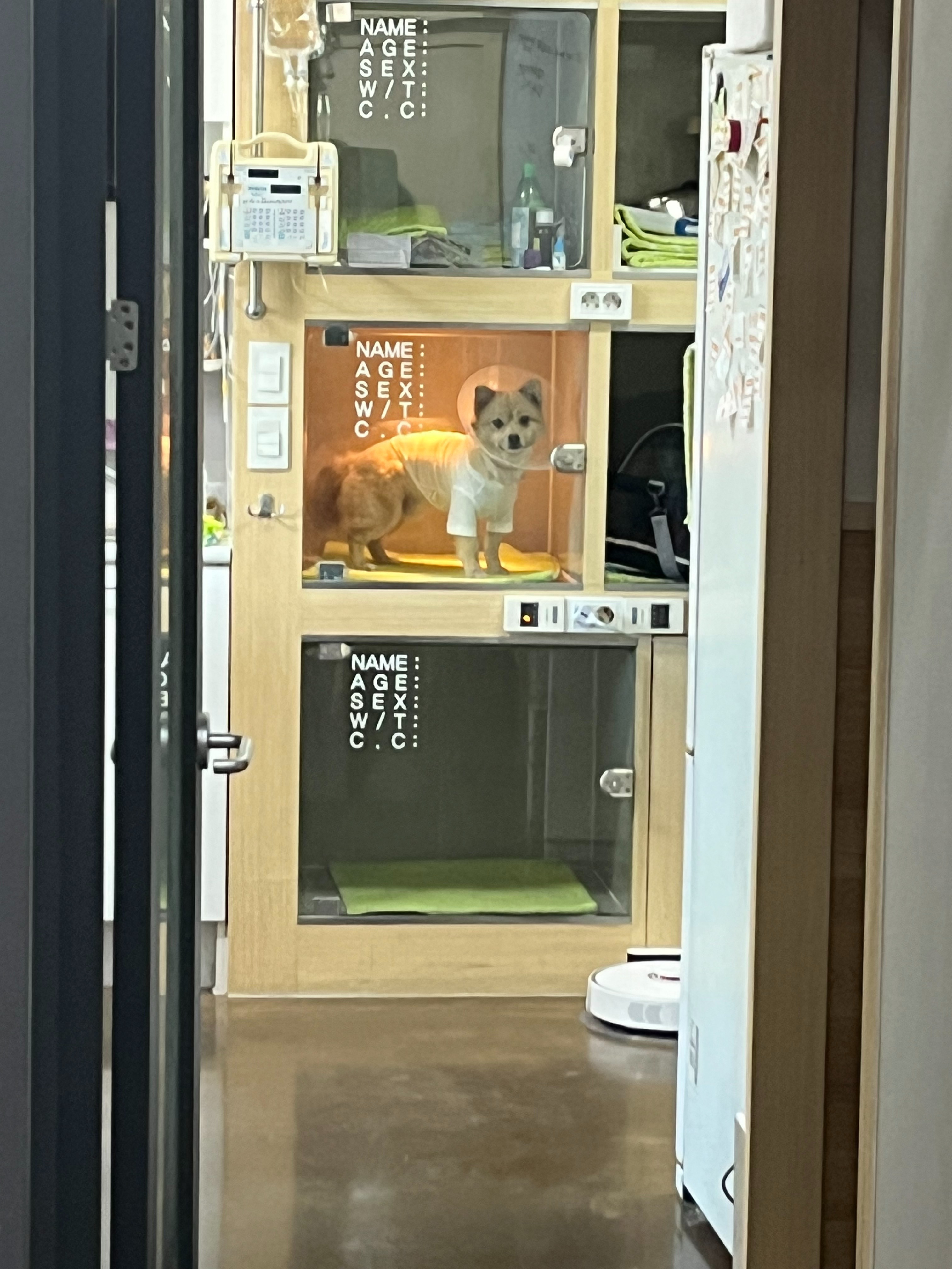 리뷰 사진 1