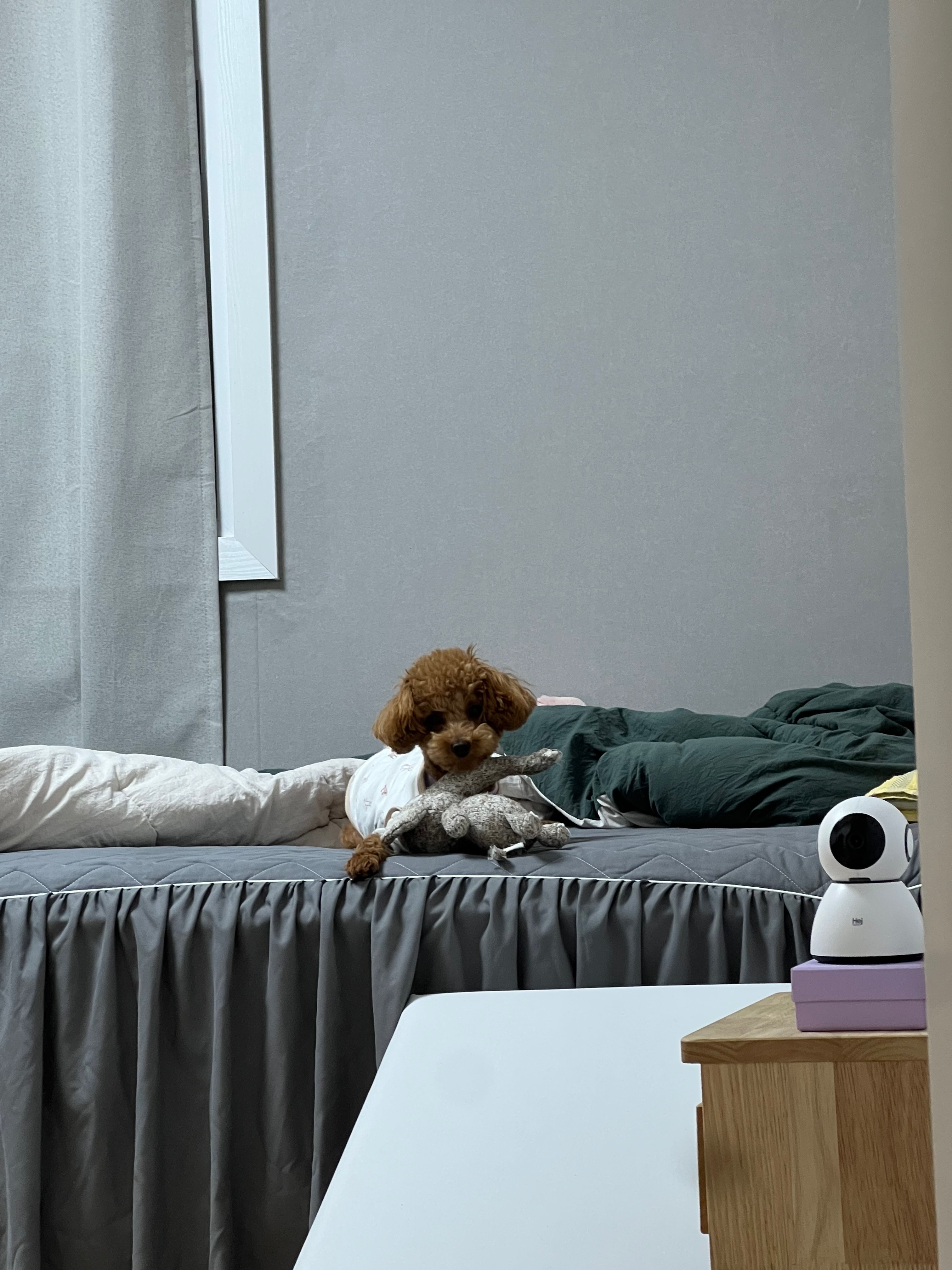 오렌지동물병원 사진 2