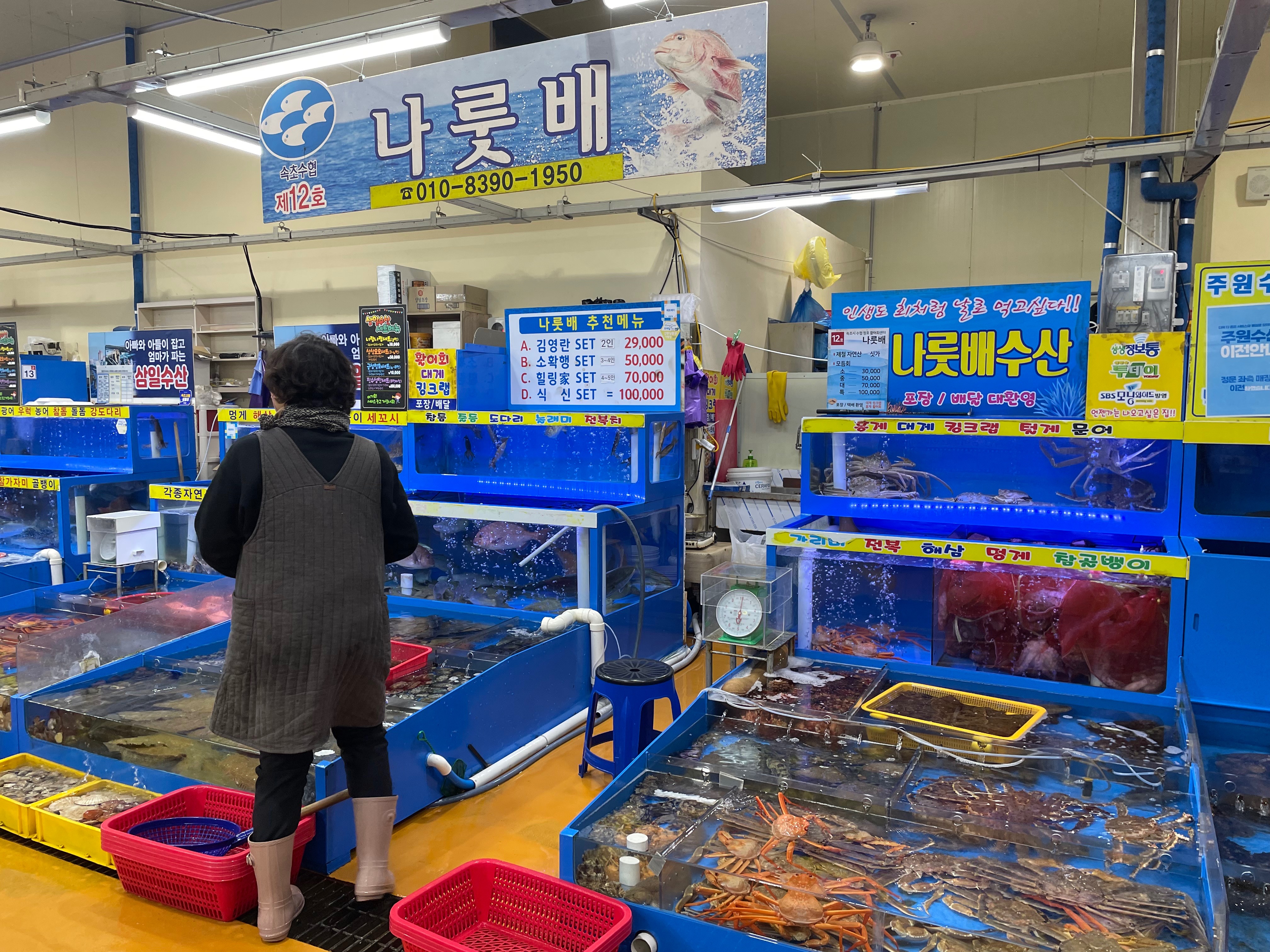 활어회 바로 떠서 먹을 수 있다해서 와서보다가 - 아바이마을 맛집 청호활어회센터 나룻배 12호 회포장