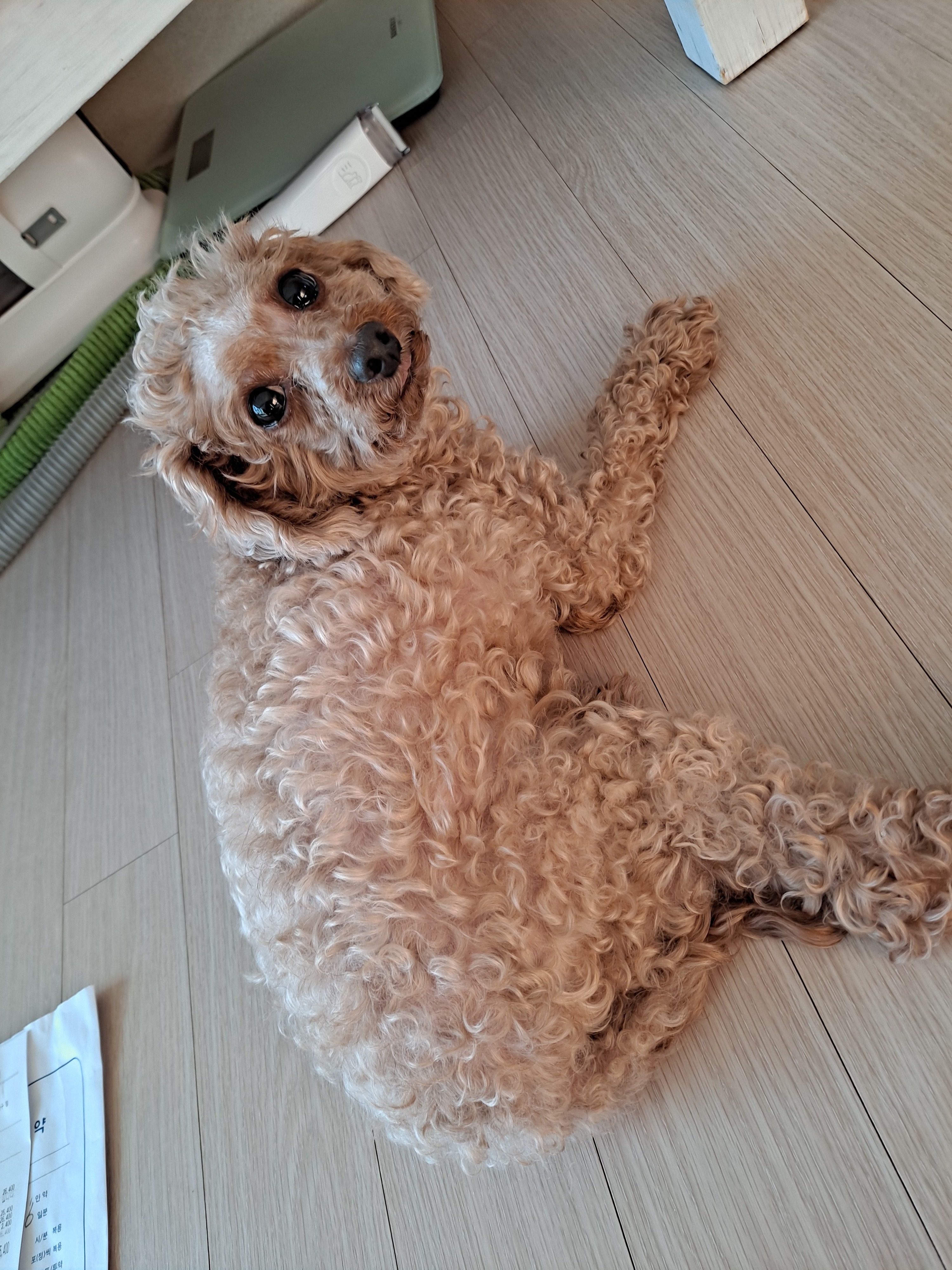 리뷰 사진 1