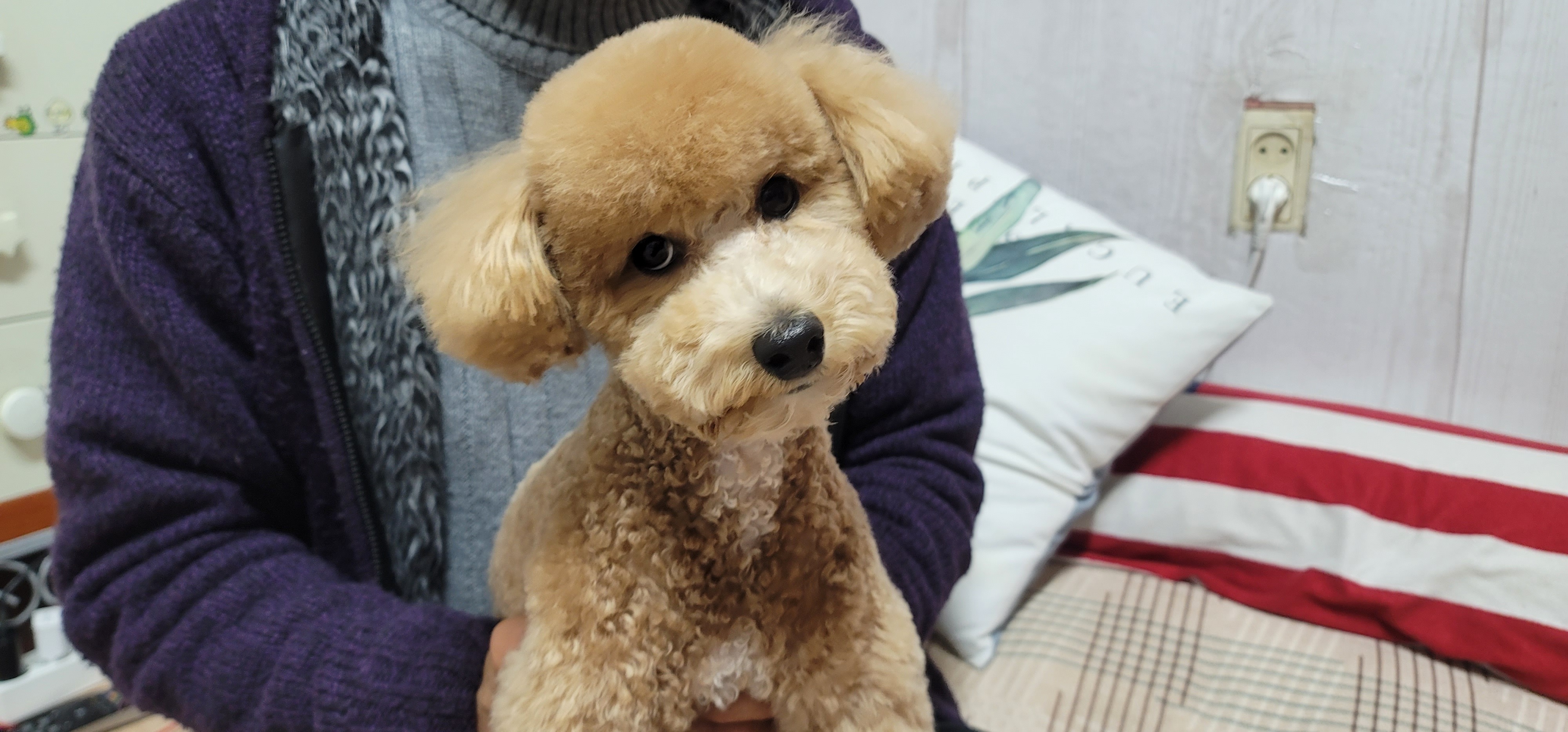 리뷰 사진 2