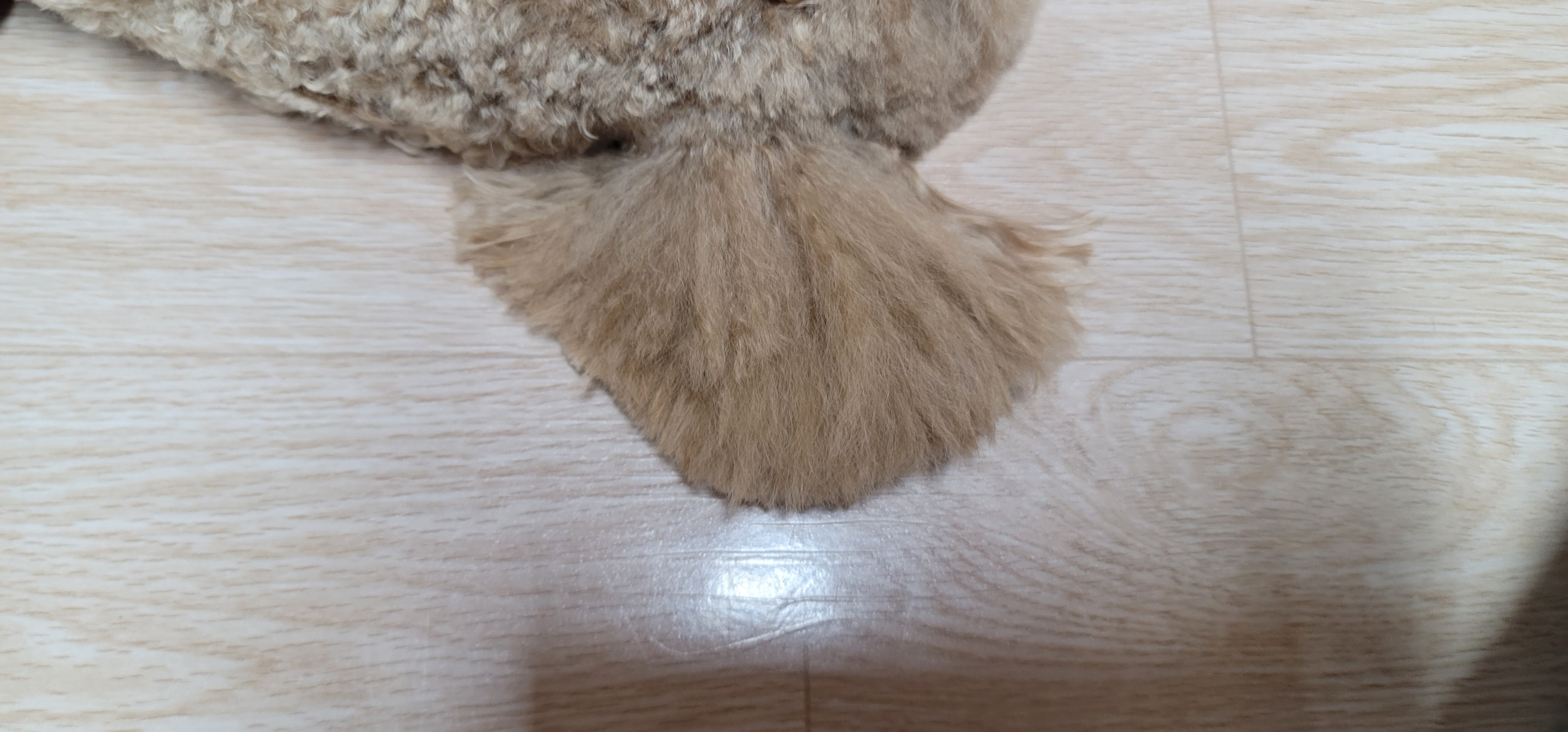 리뷰 사진 4
