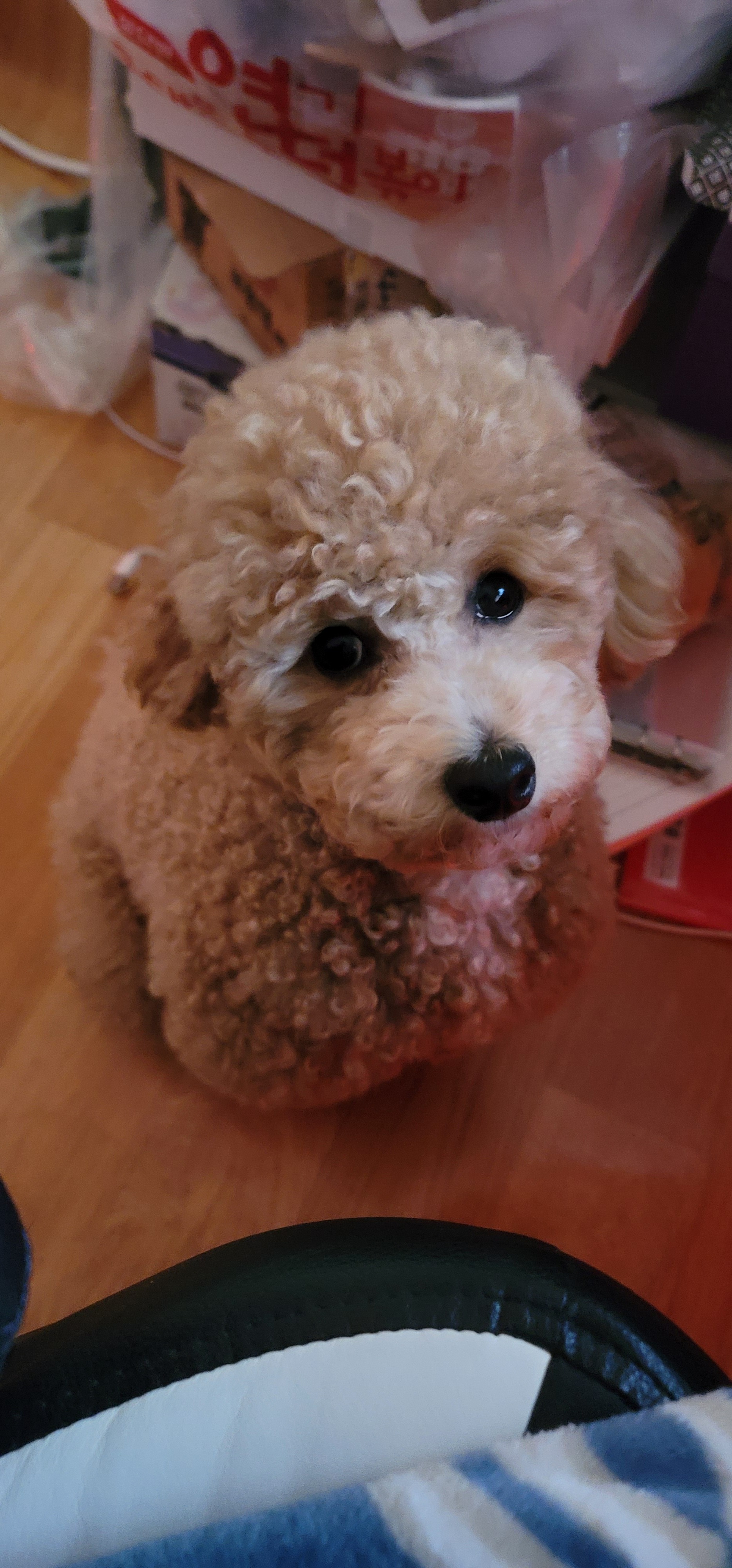 리뷰 사진 1