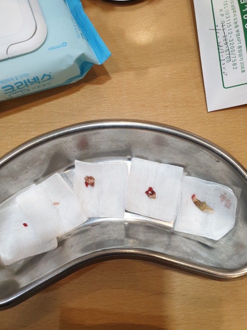 참사랑동물병원 사진 4