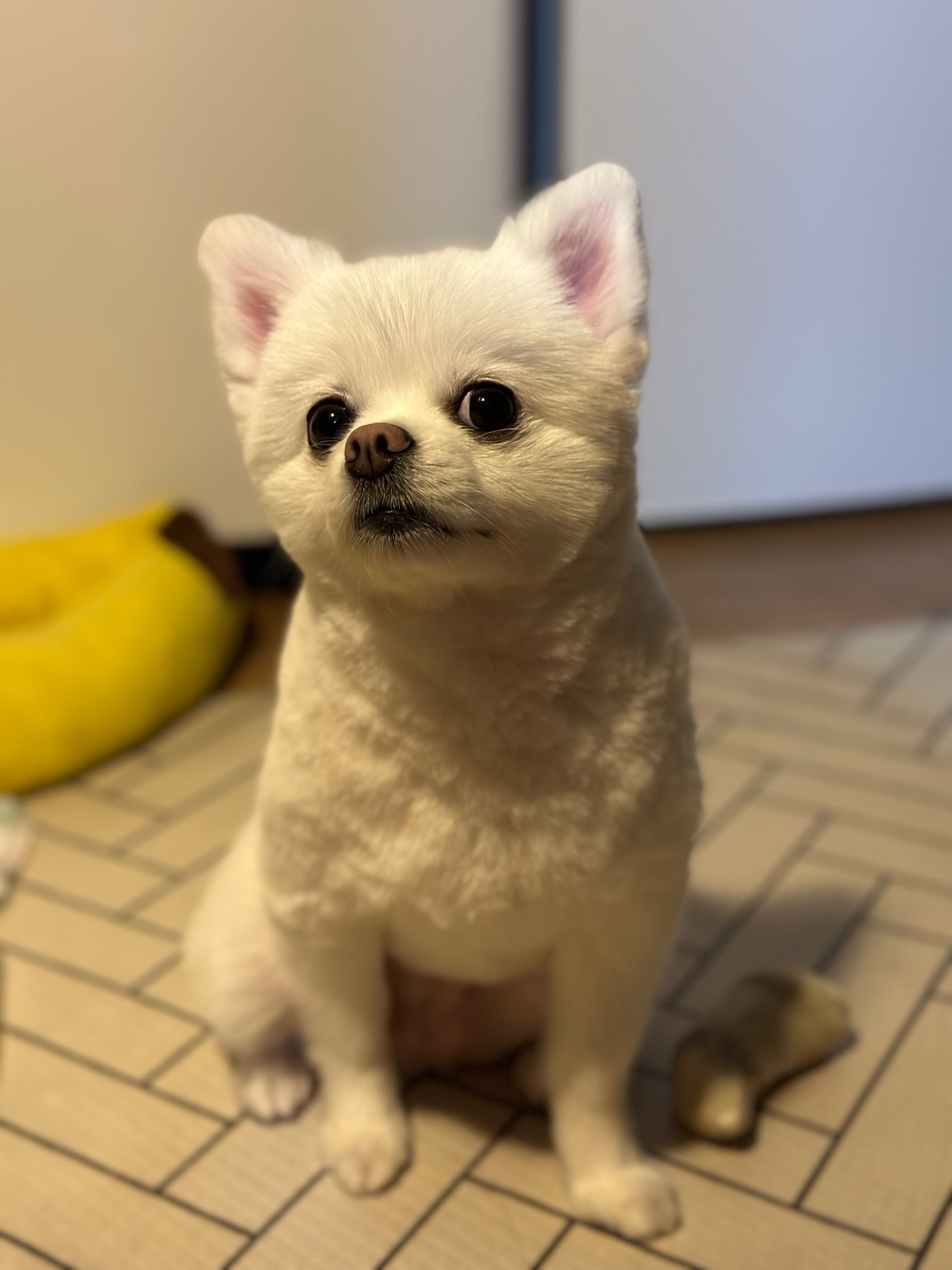 리뷰 사진 1