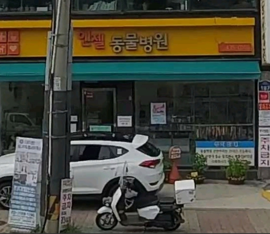 리뷰 사진 1