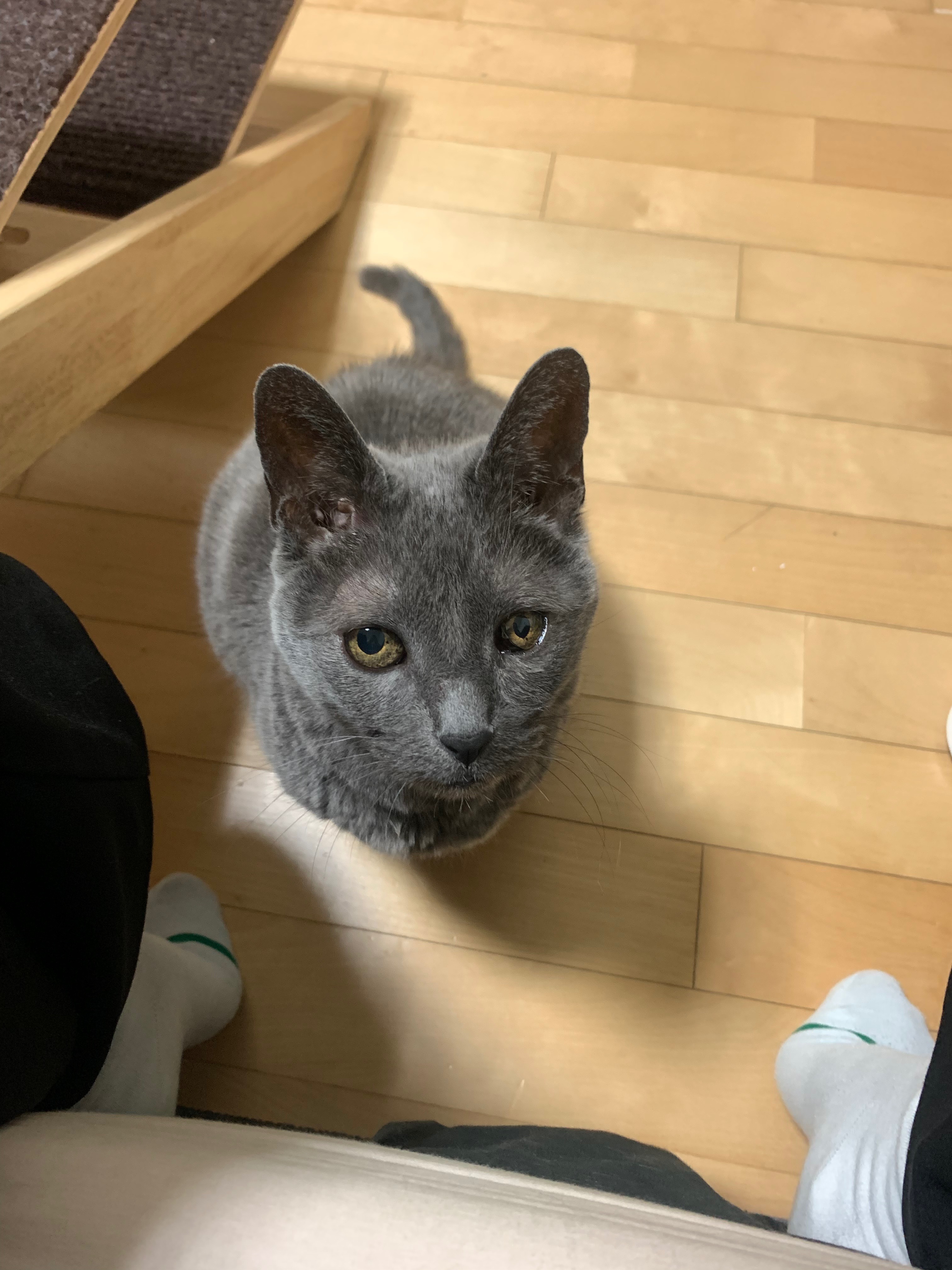 리뷰 사진 1