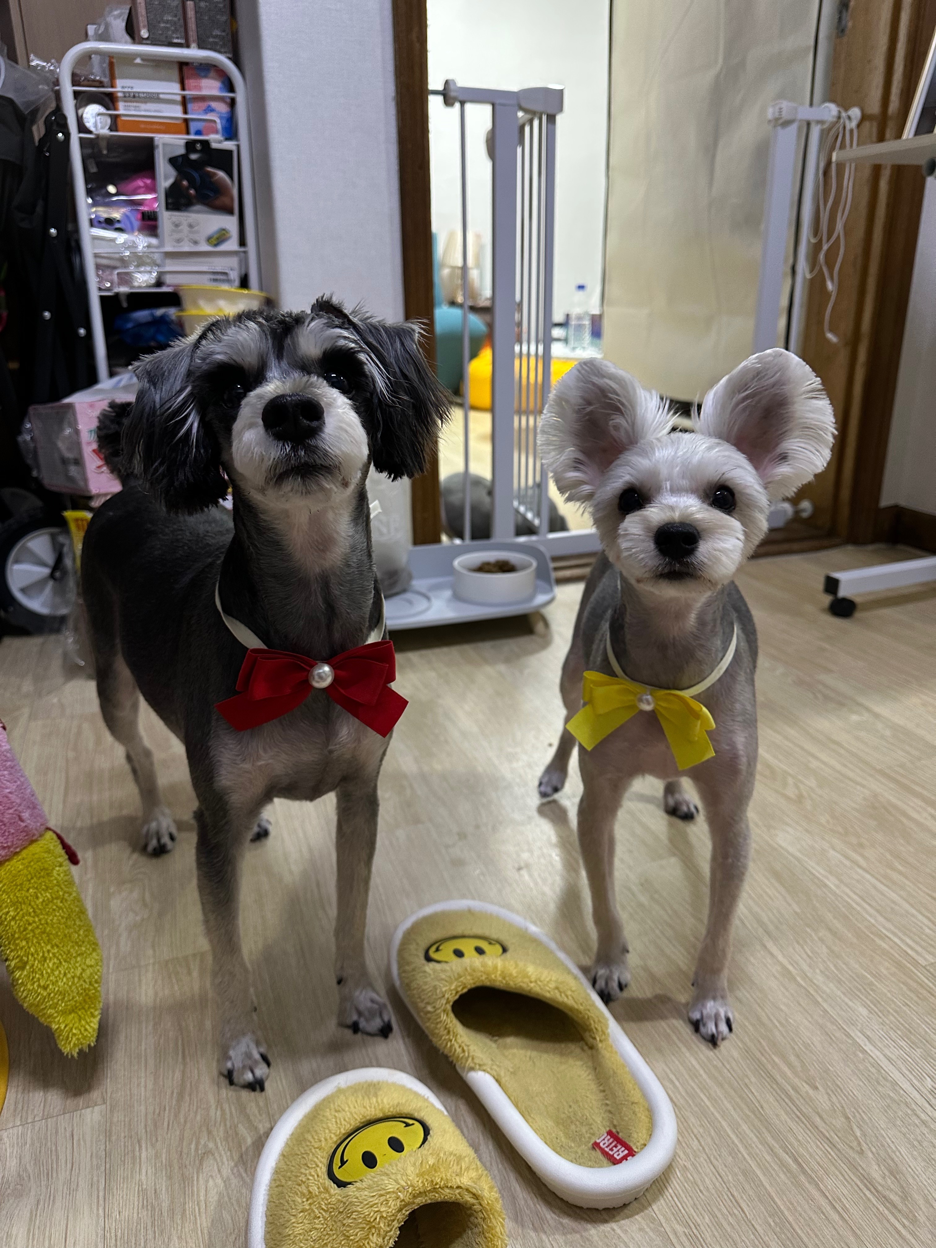 리뷰 사진 5