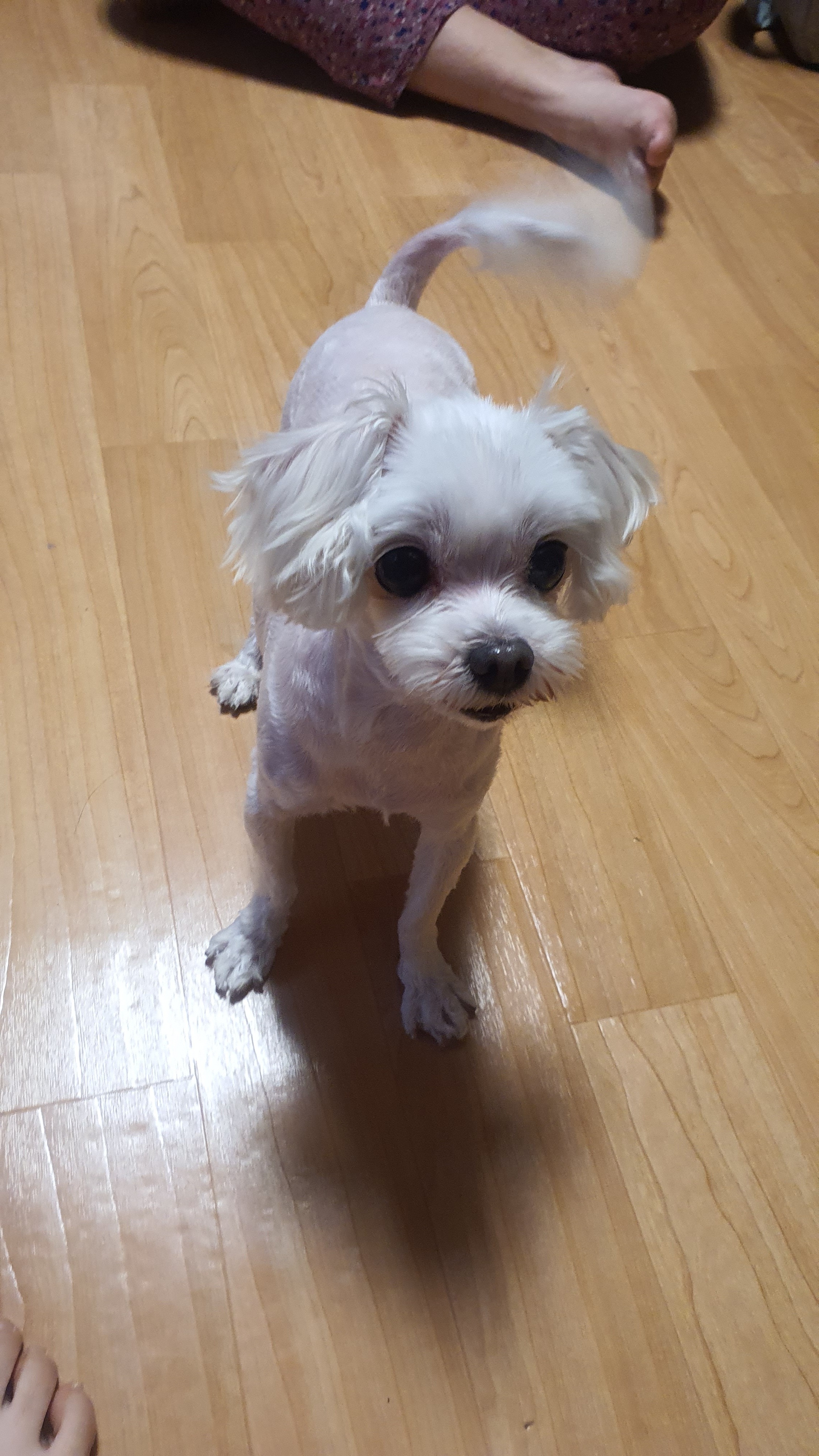 동물병원 공감 사진 3