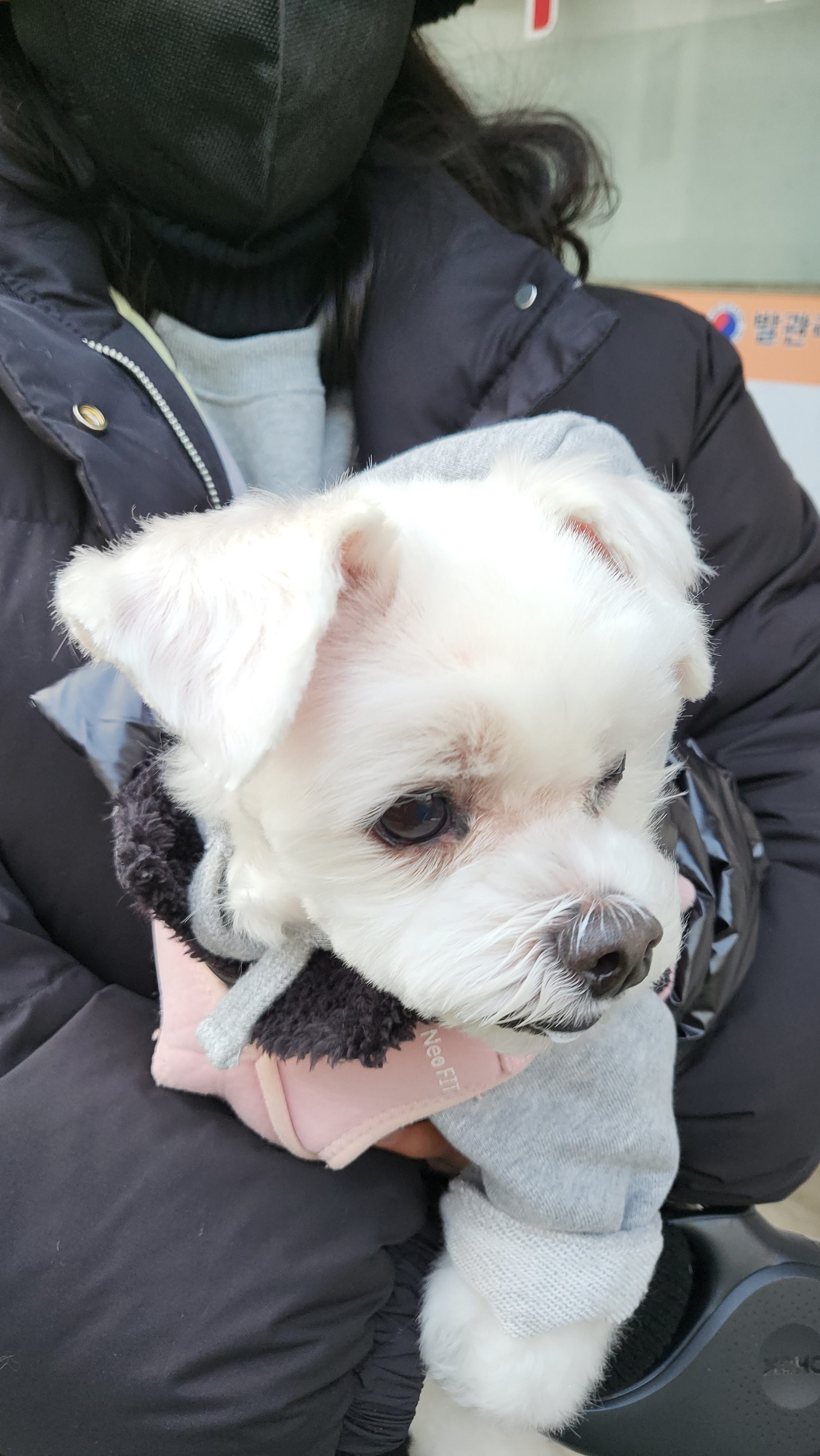 리뷰 사진 1