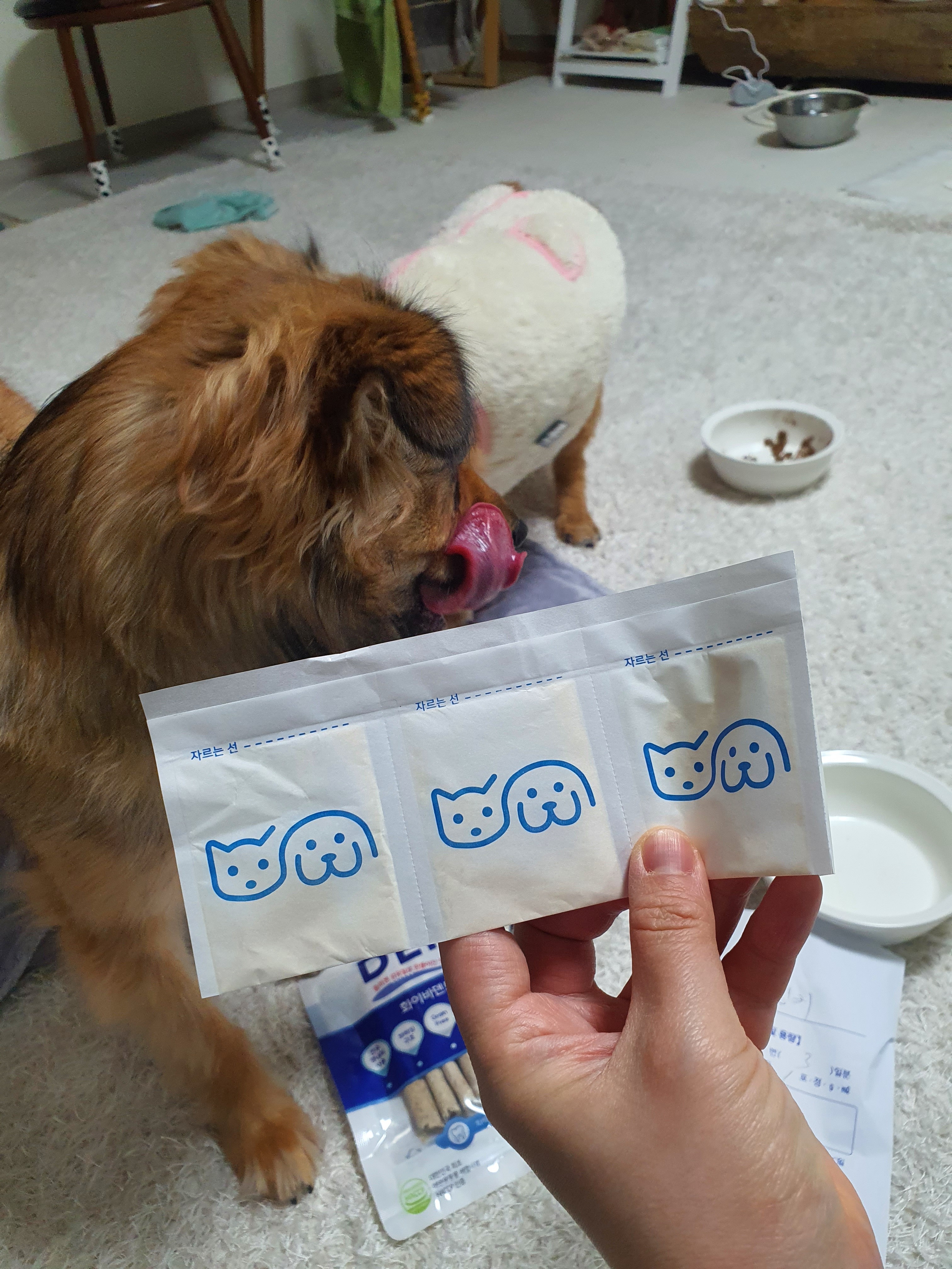 리뷰 사진 3