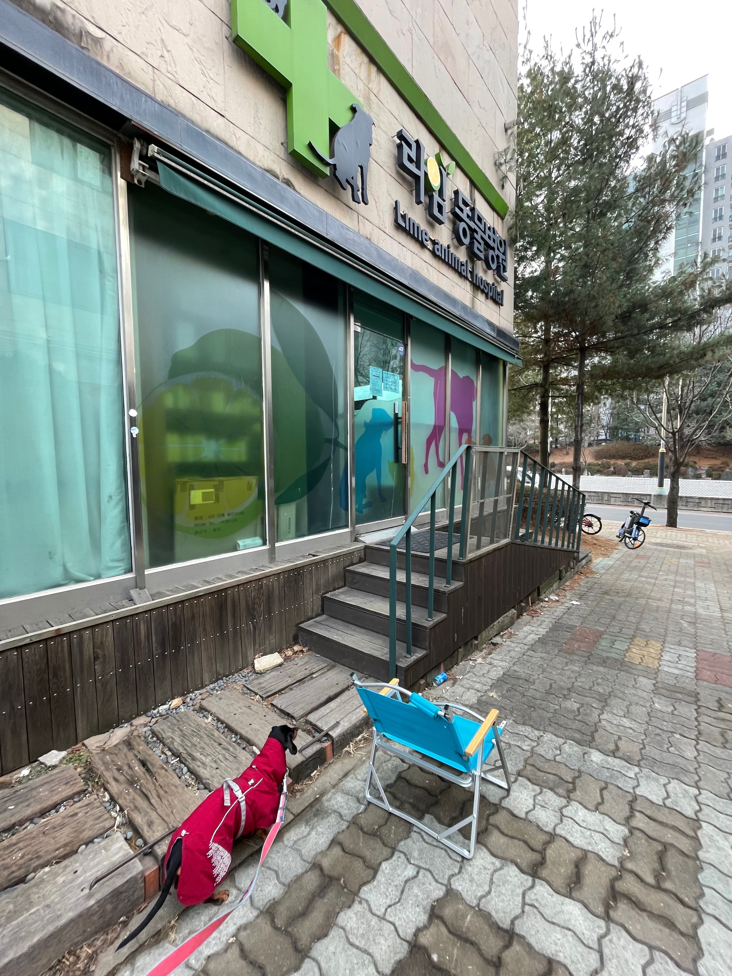 라임동물병원 사진 2