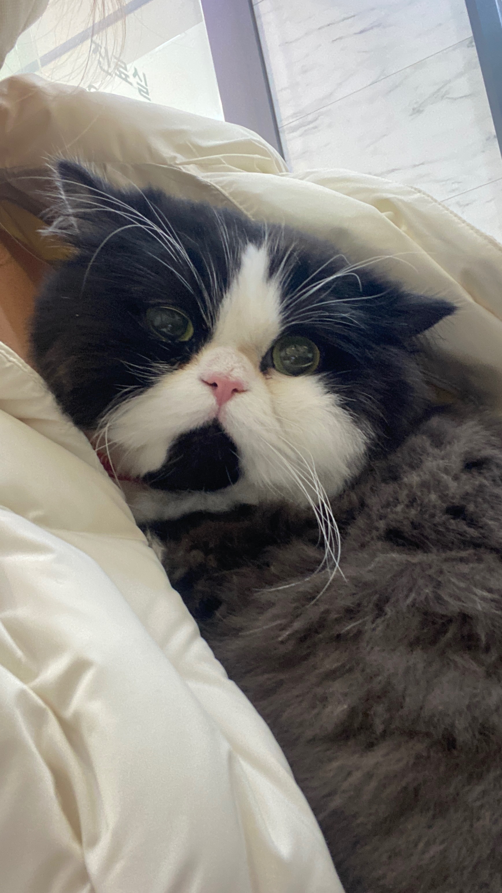 리뷰 사진 1