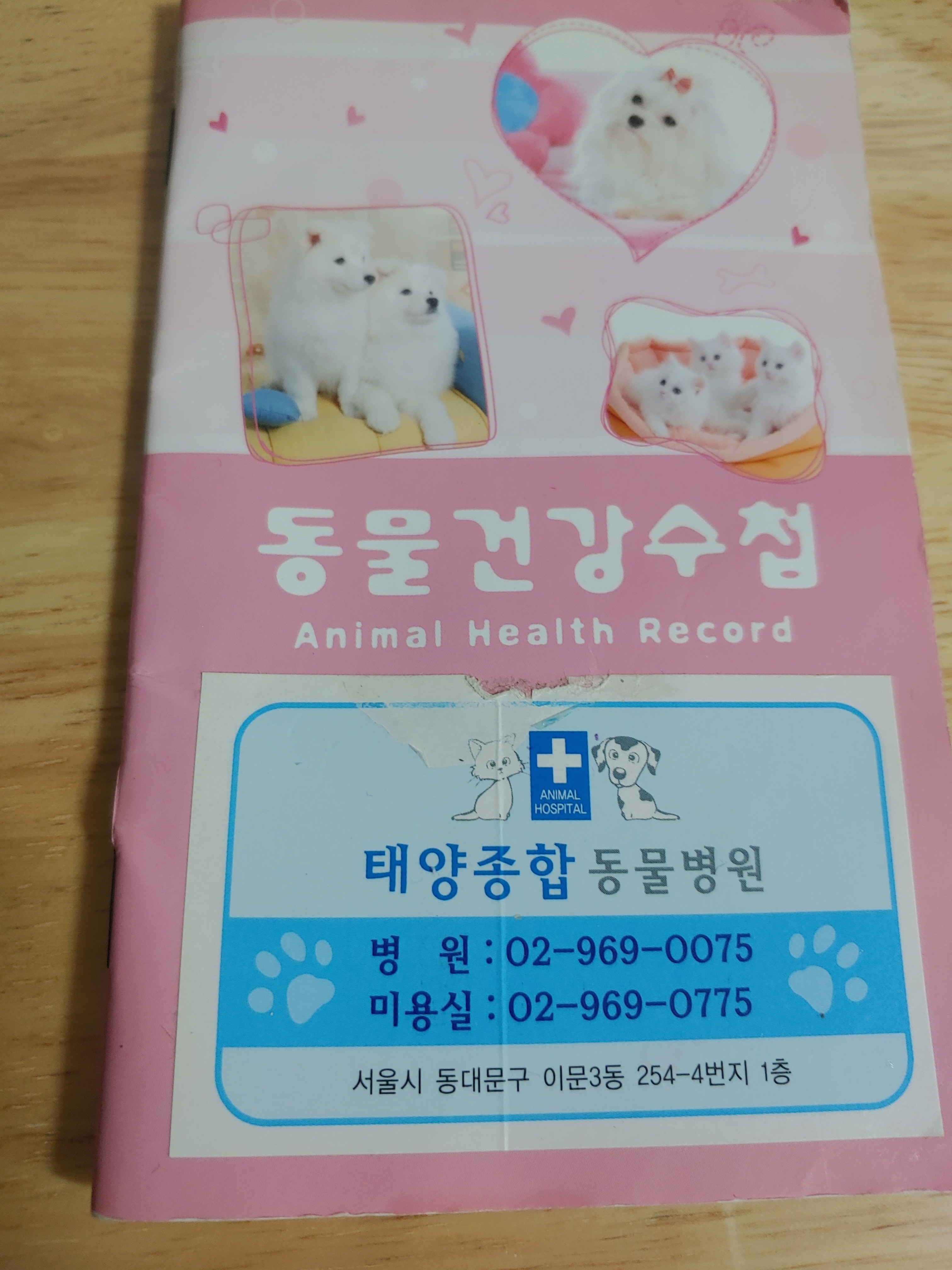 리뷰 사진 1