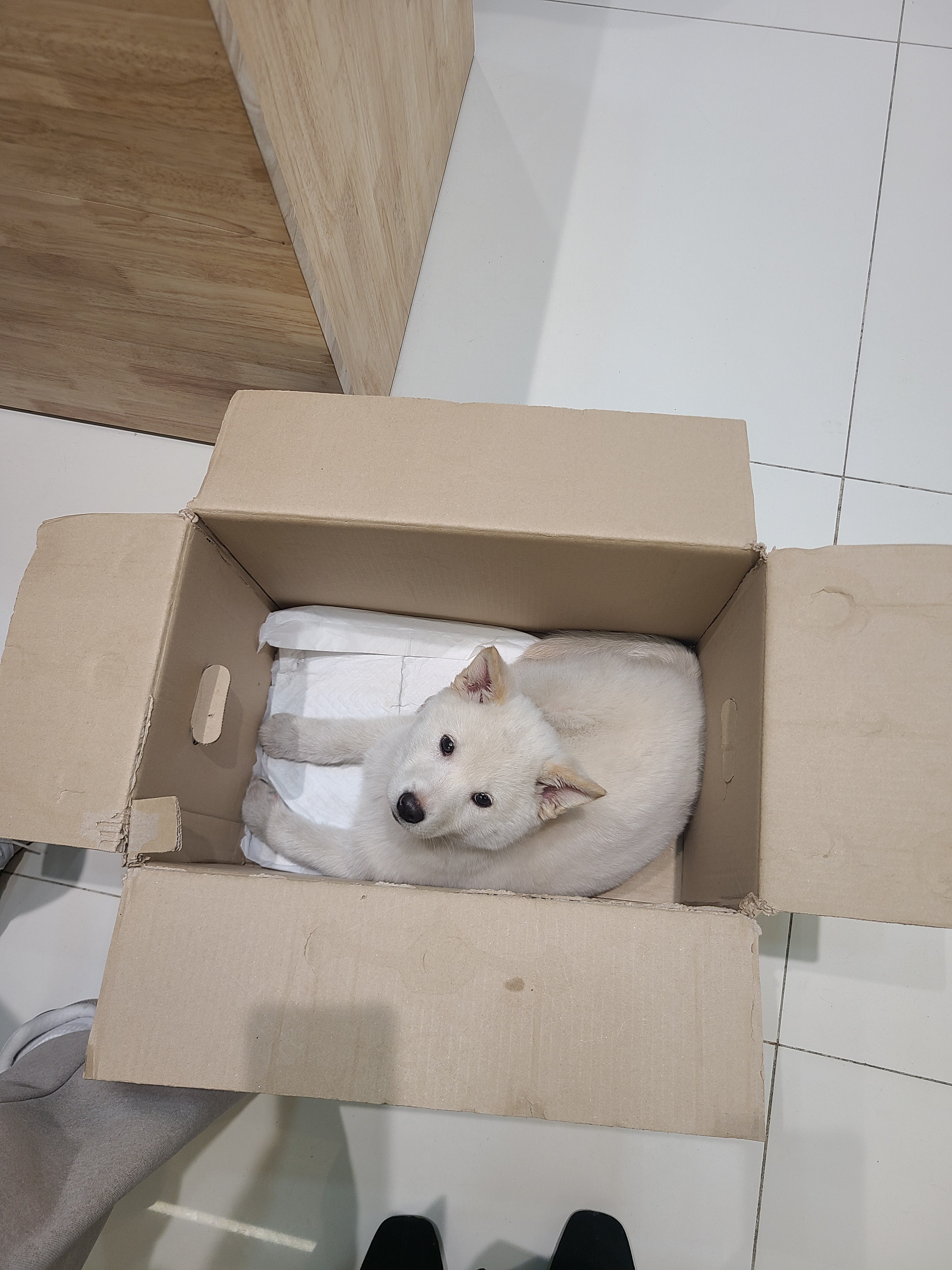 리뷰 사진 3