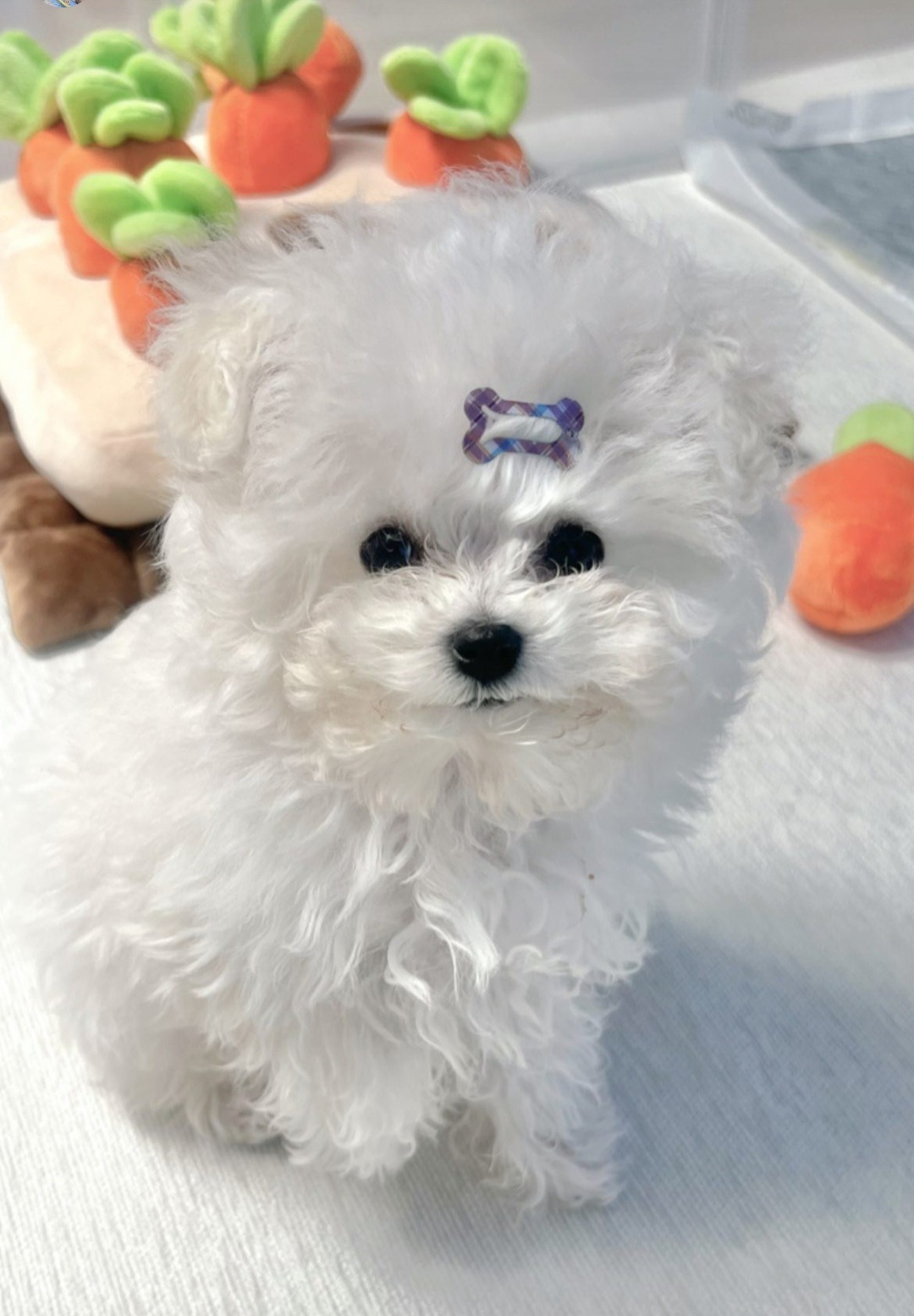 리뷰 사진 1