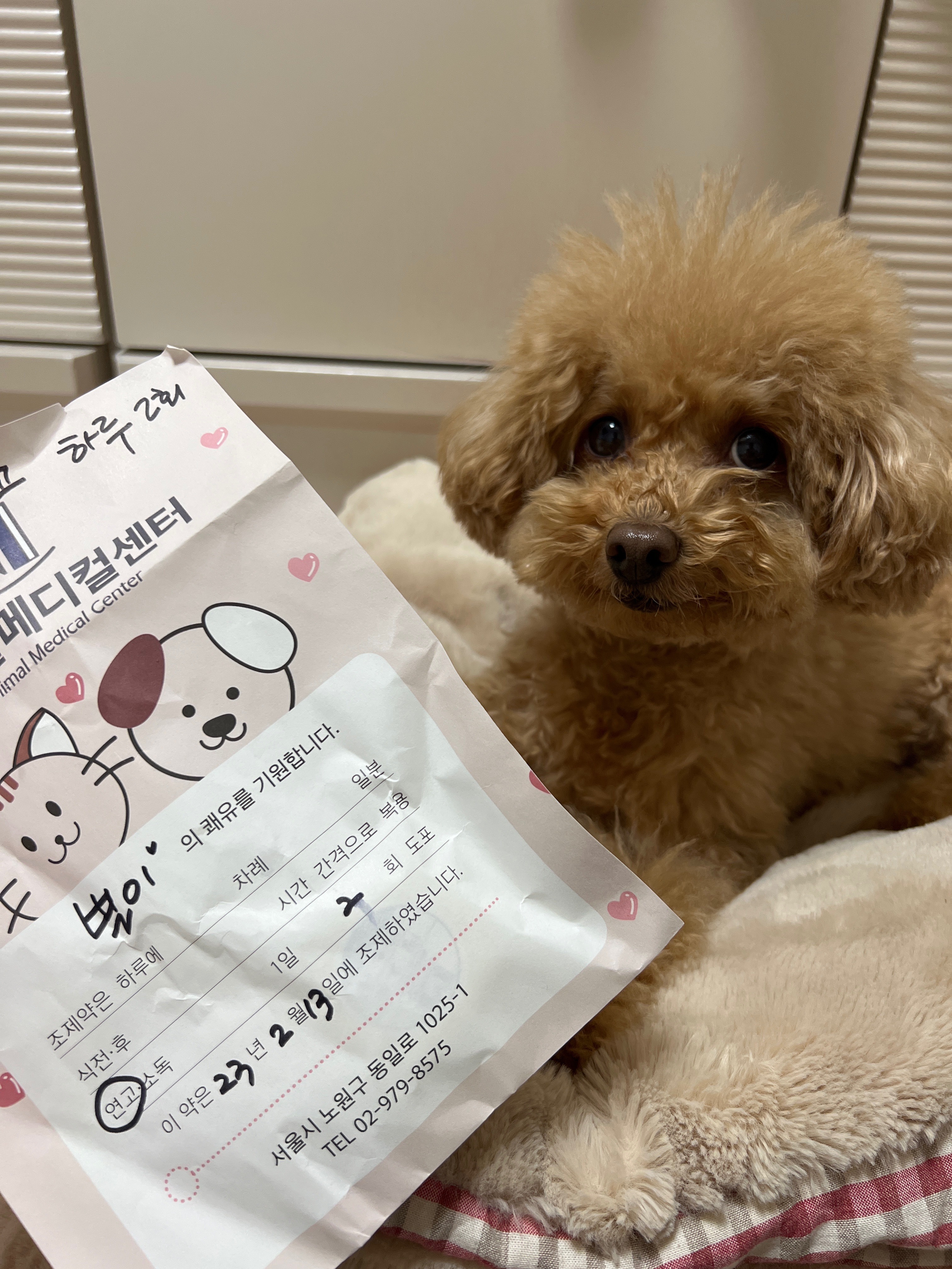 리뷰 사진 1