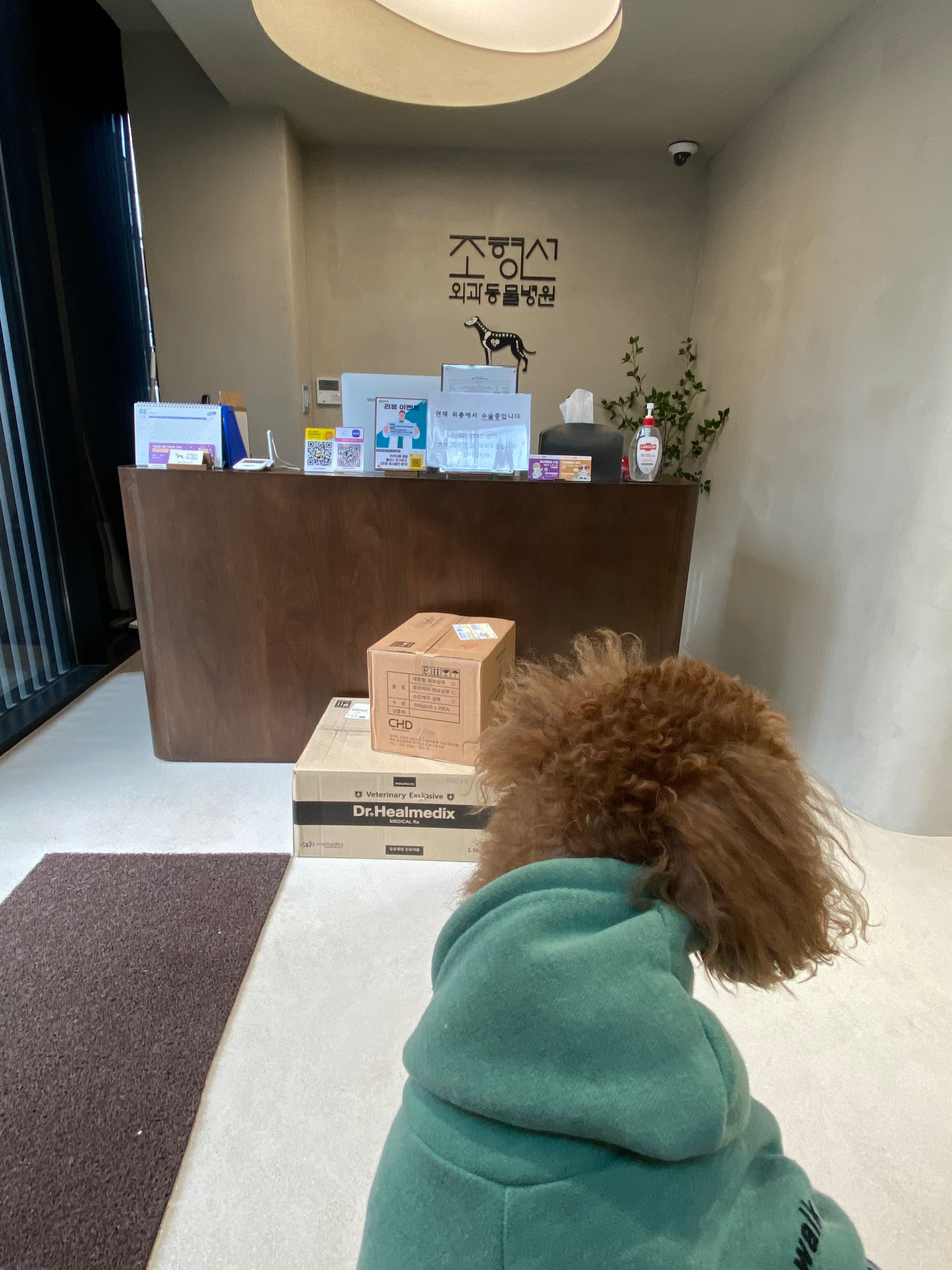 리뷰 사진 1