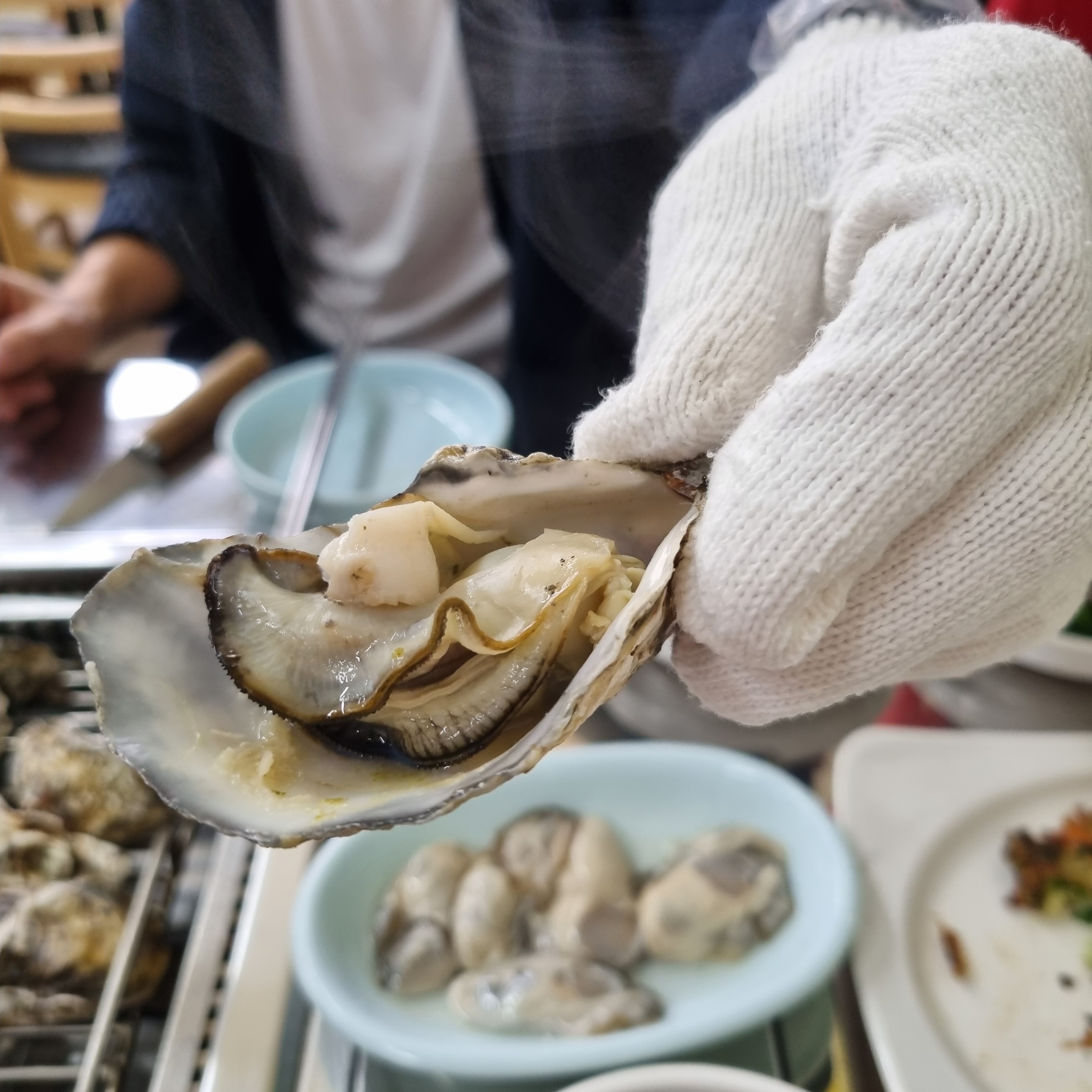 [여수 맛집 순애네 굴구이] 직접 가본 로컬 리뷰