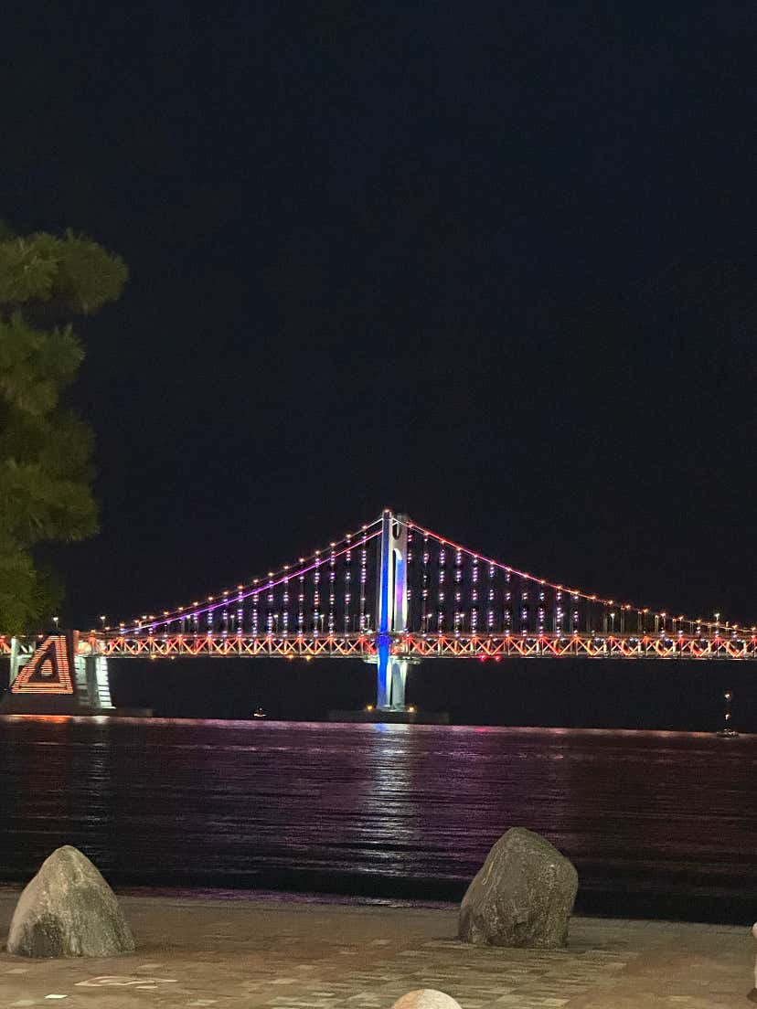 맛집탐방러입당님의 팔도통닭 리뷰