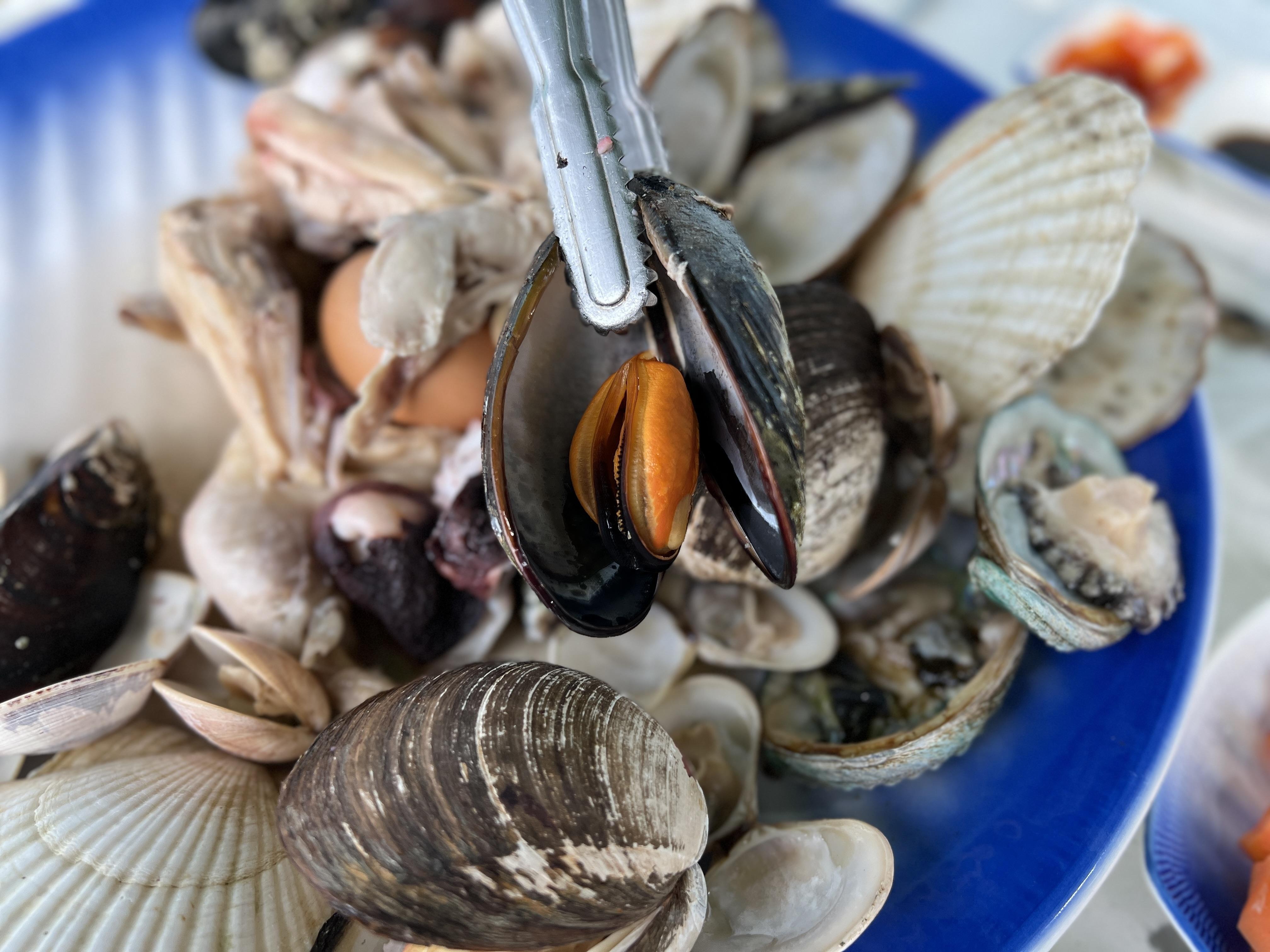 [삼척 맛집 성준수산] 직접 가본 로컬 리뷰
