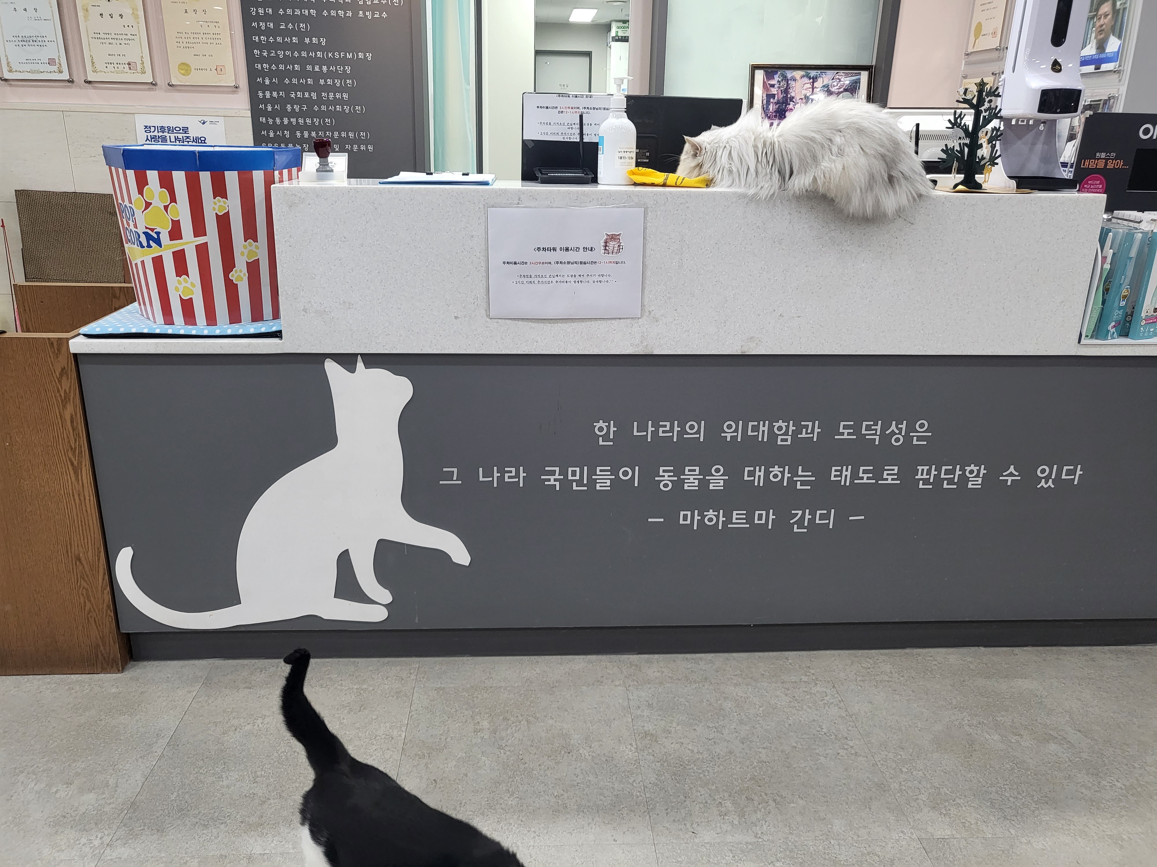 리뷰 사진 3