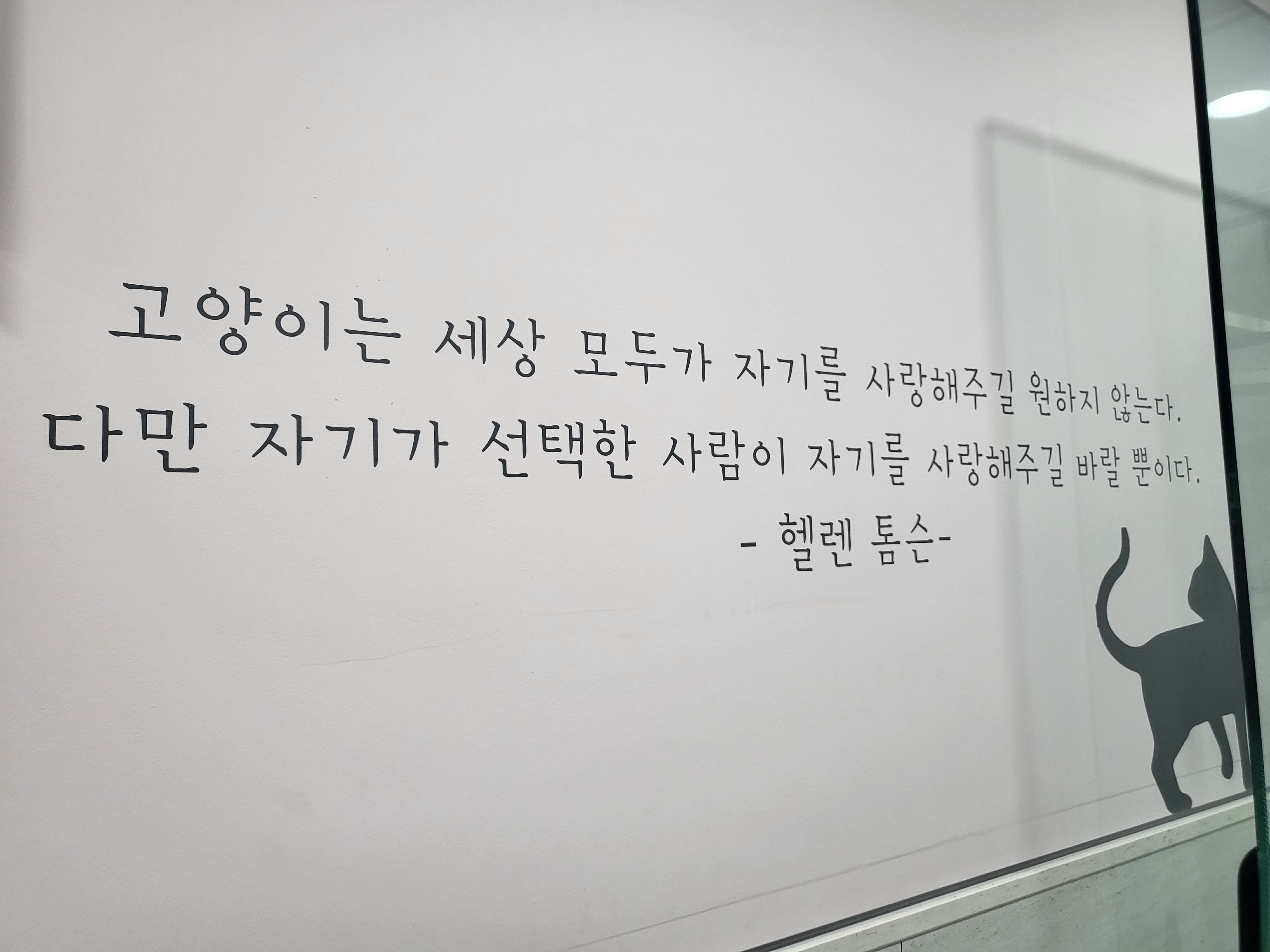 리뷰 사진 4