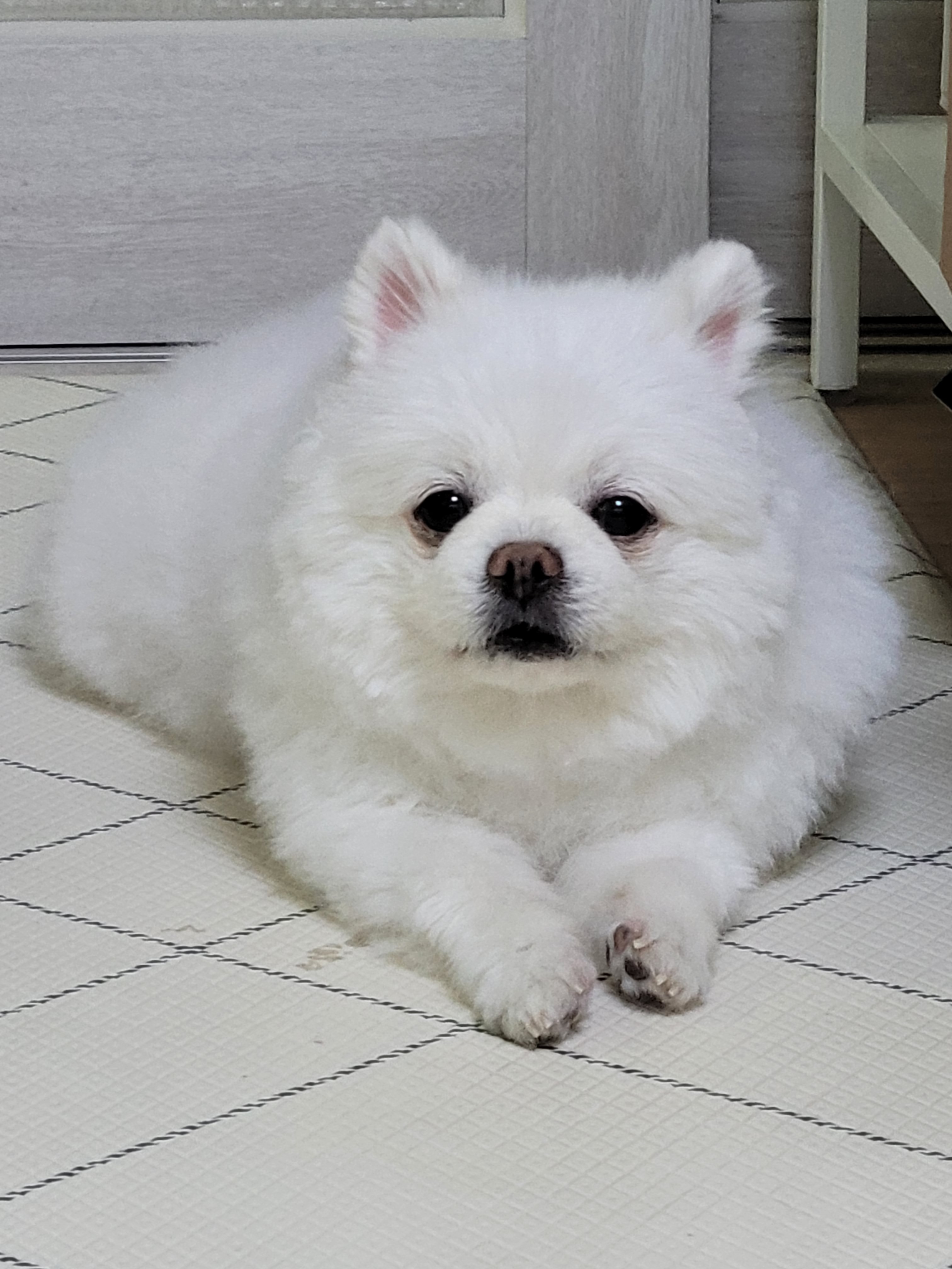 리뷰 사진 1
