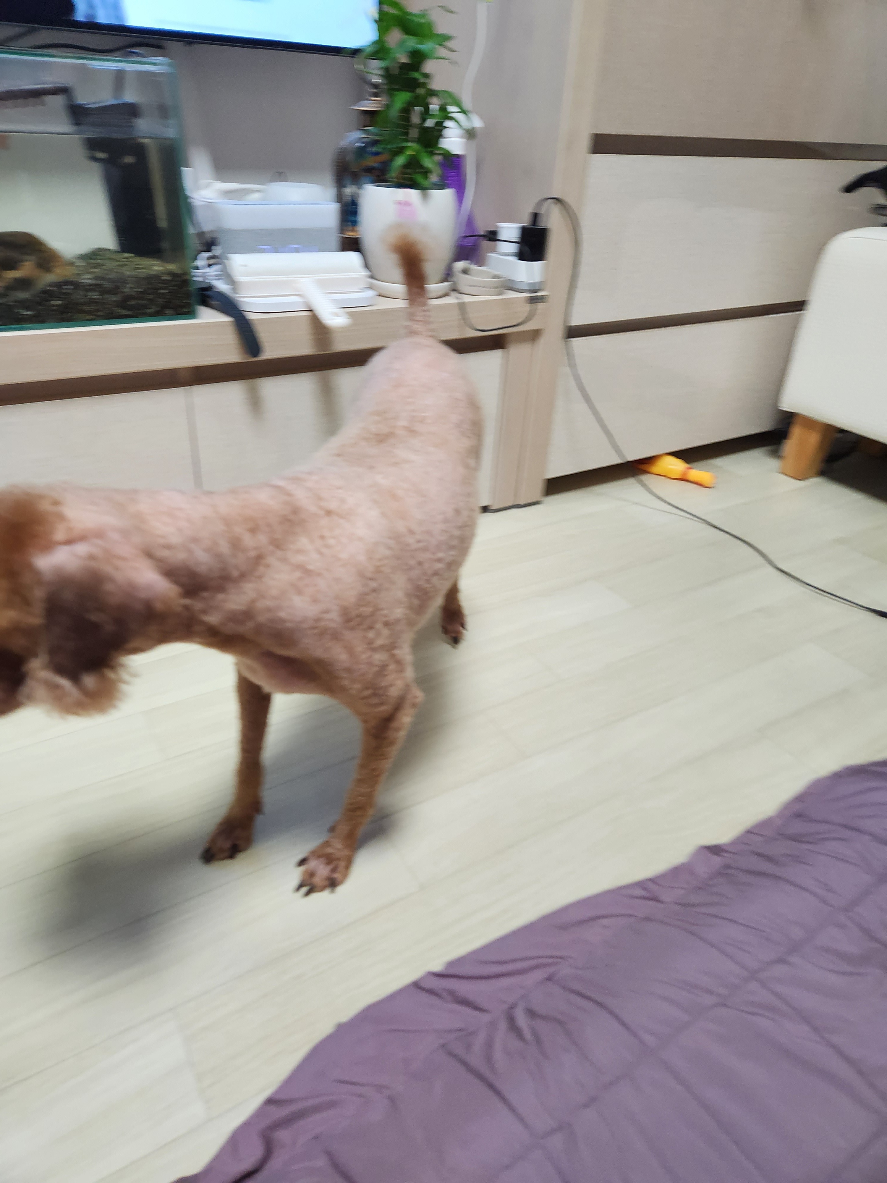 리뷰 사진 1