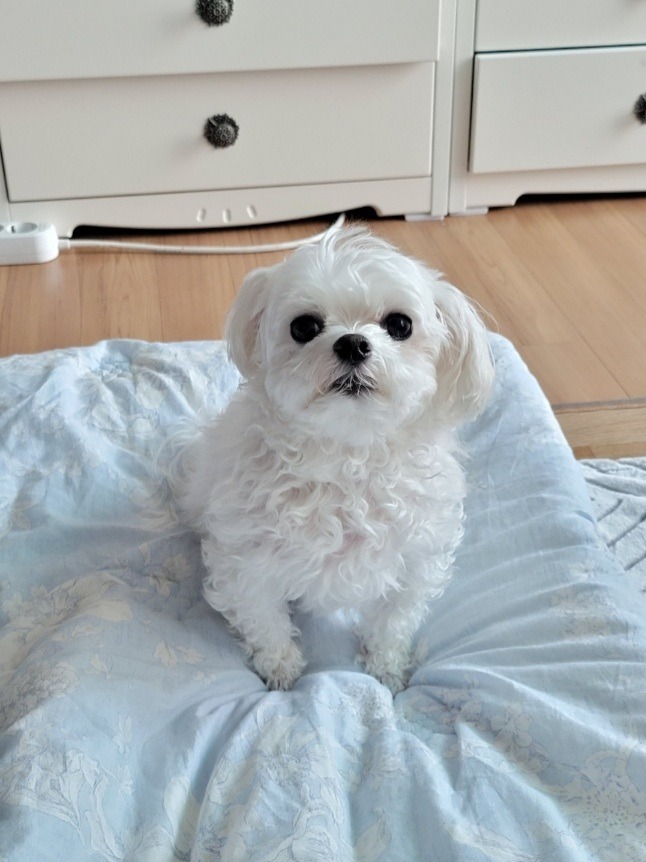 리뷰 사진 1