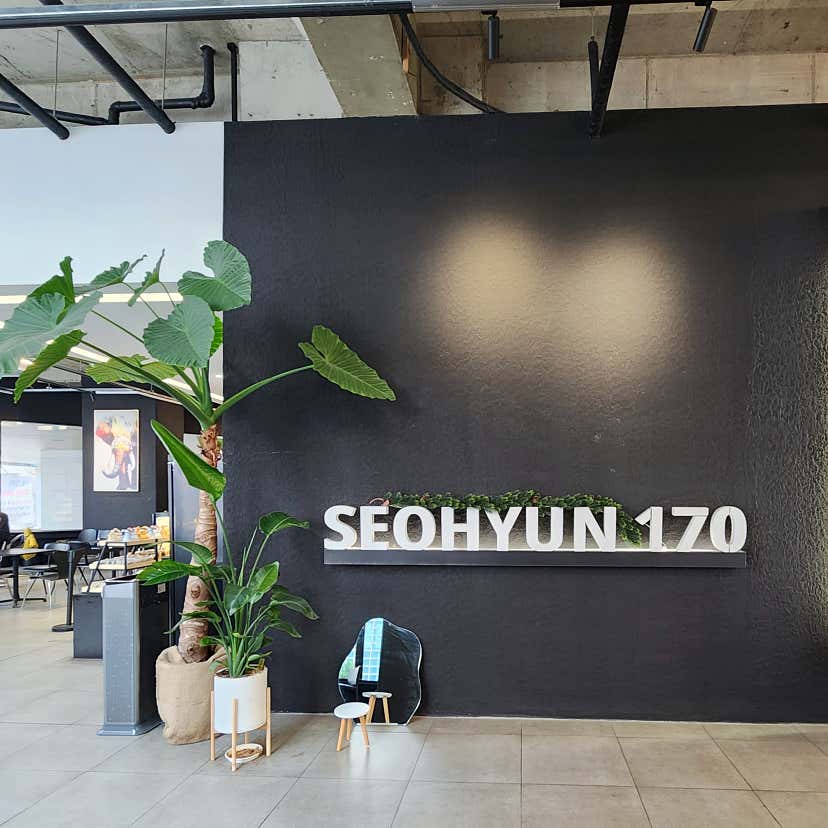 양이파더님의 서현170 리뷰