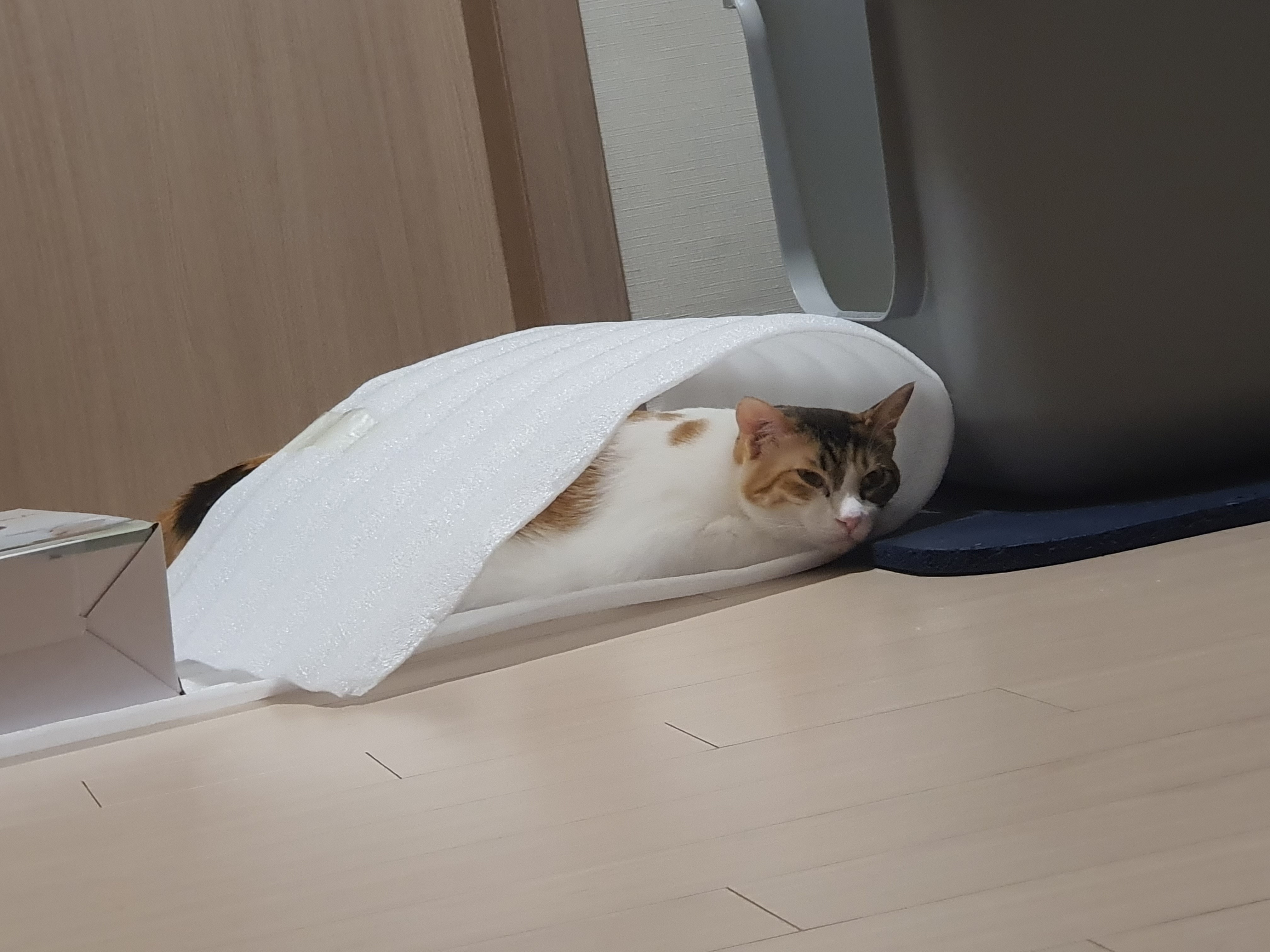 리뷰 사진 2