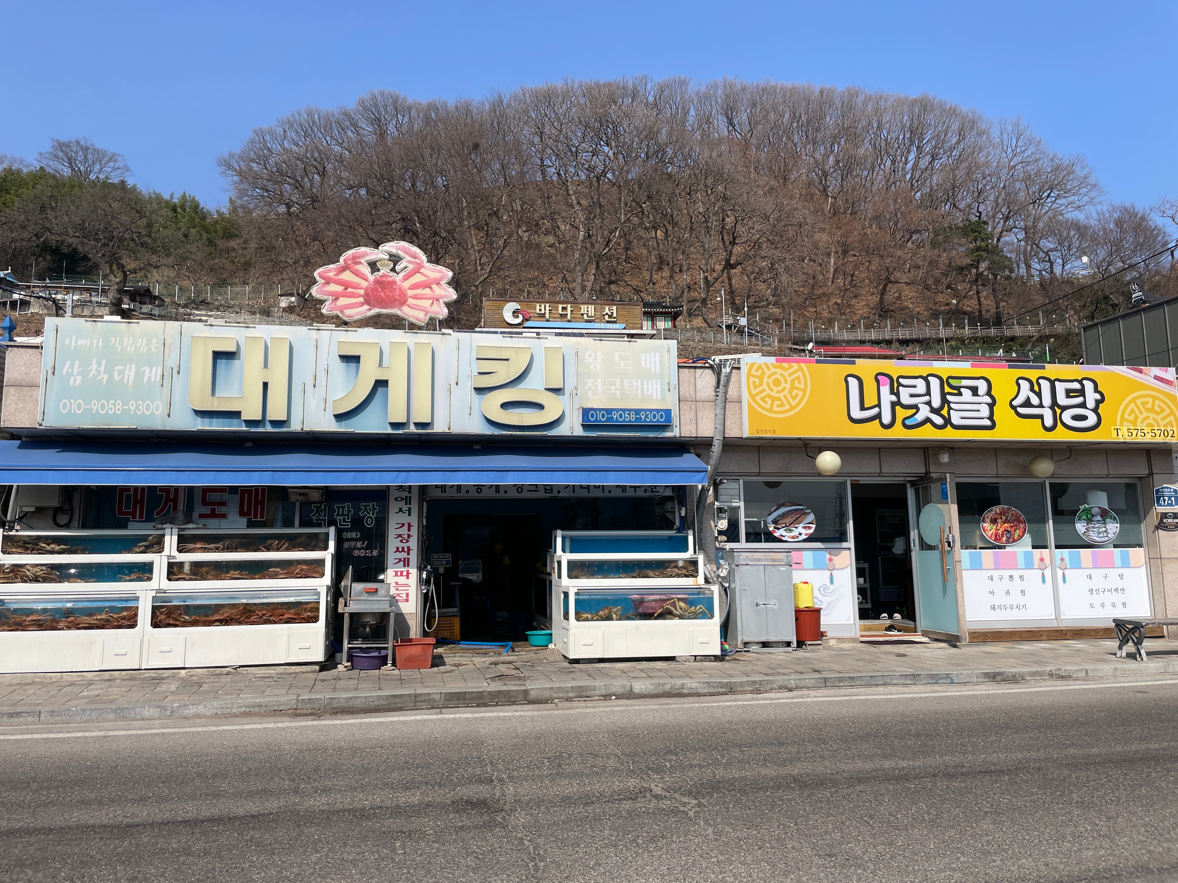 2키로 12만원 ㅎㅎ 사장님이 인심도 좋아요 - 삼척항 맛집 대게킹