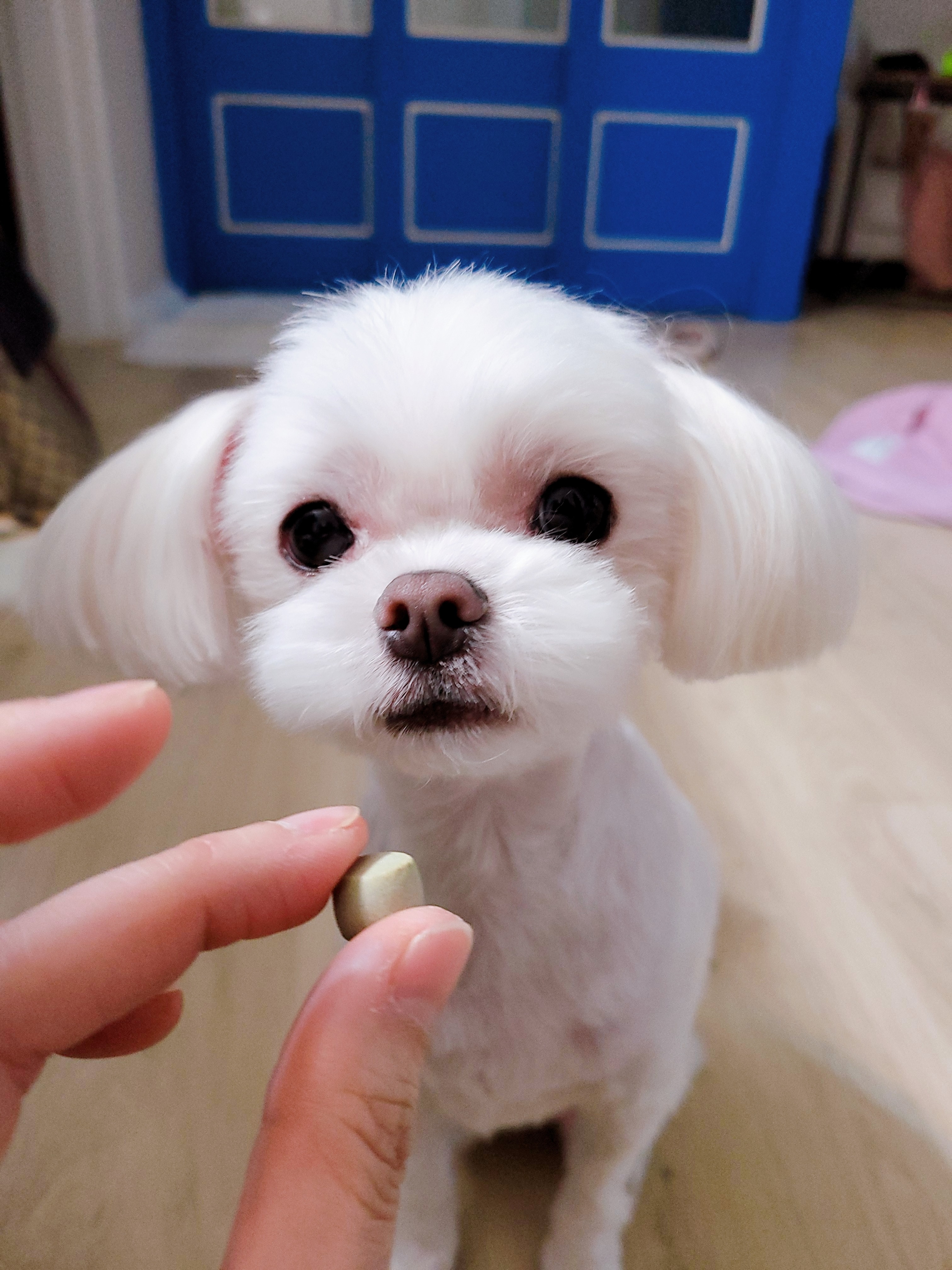 스타동물병원 사진 4
