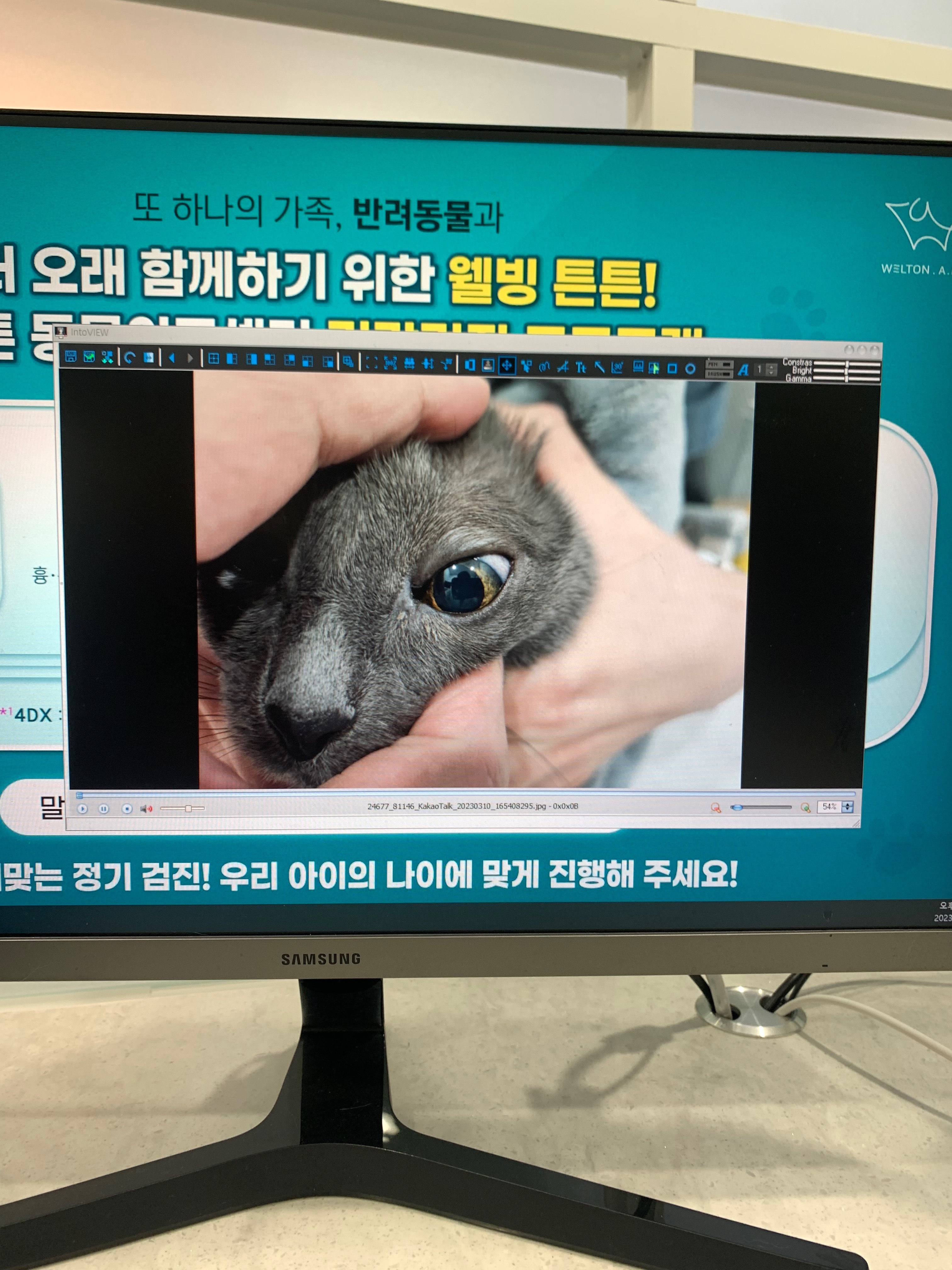 리뷰 사진 1