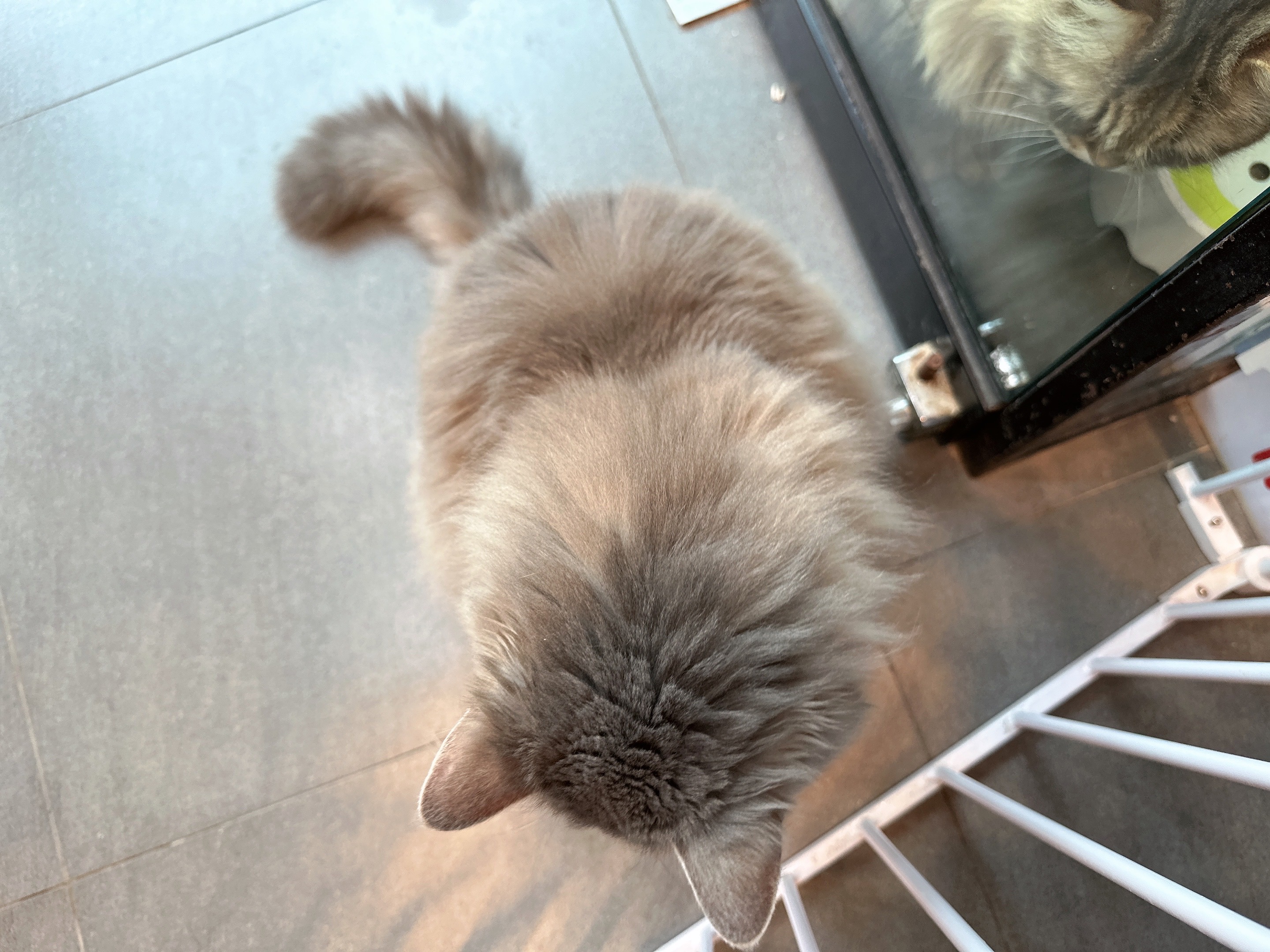 리뷰 사진 3