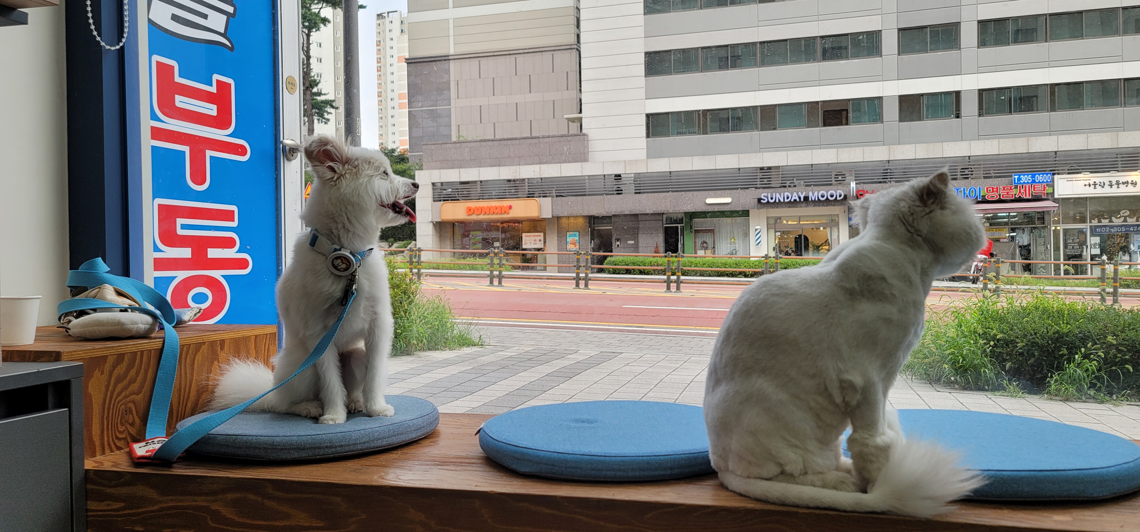 리뷰 사진 2