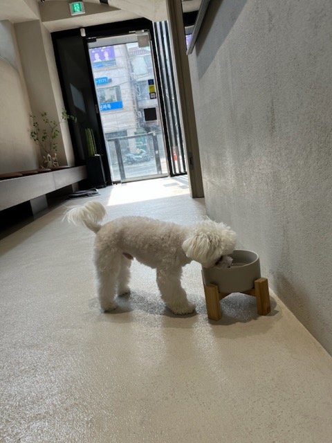 리뷰 사진 1